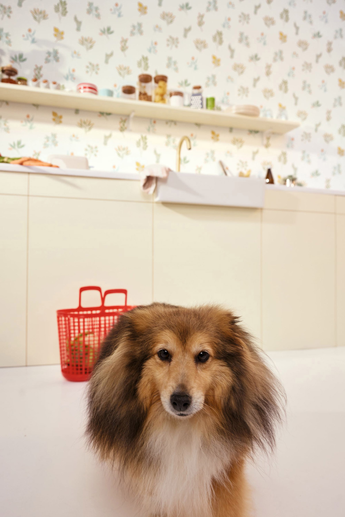 Papier peint Vintage Bouquet Luck curry bleu vert - Green Life 2 de Casélio | Réf. GNL2105370251