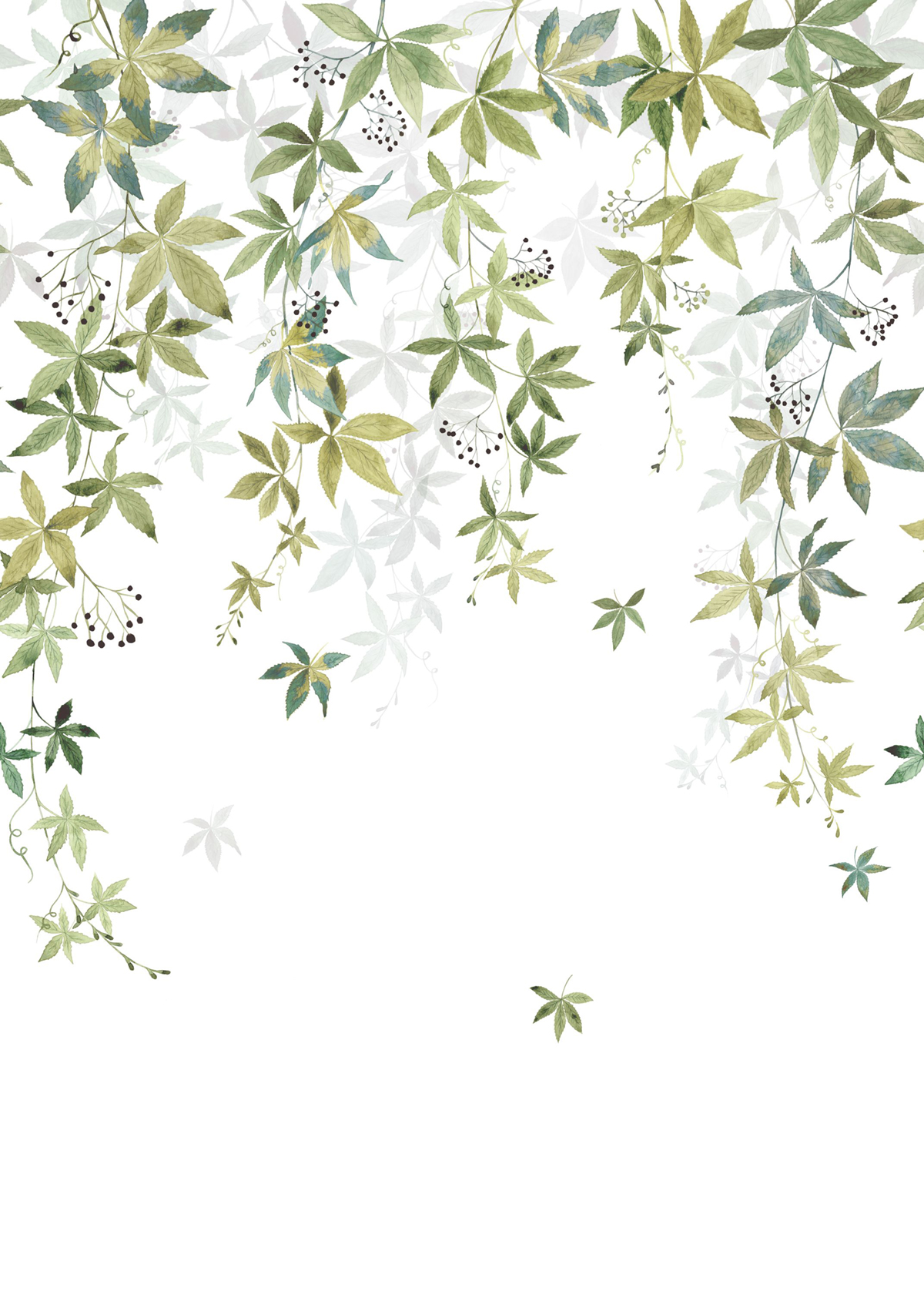 Papier peint panoramique Feuille Vigne en Fleur M vert 200X280 - Wonderwalls 2 de Casadéco | Réf. WDWD200067203