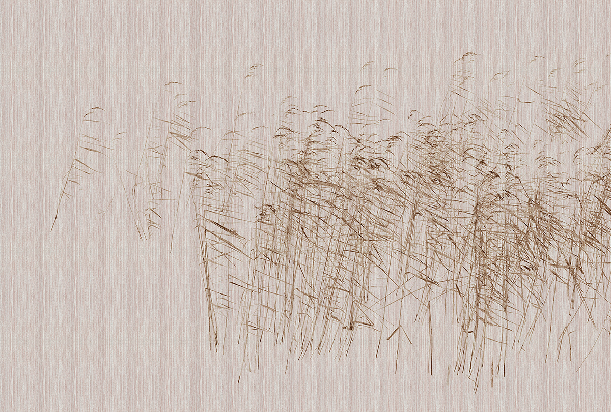 Papier peint panoramique Roseau At The Pond 3 beige - Référence DD122060 - Intissé 200g/m2 - 400 x 270 cm