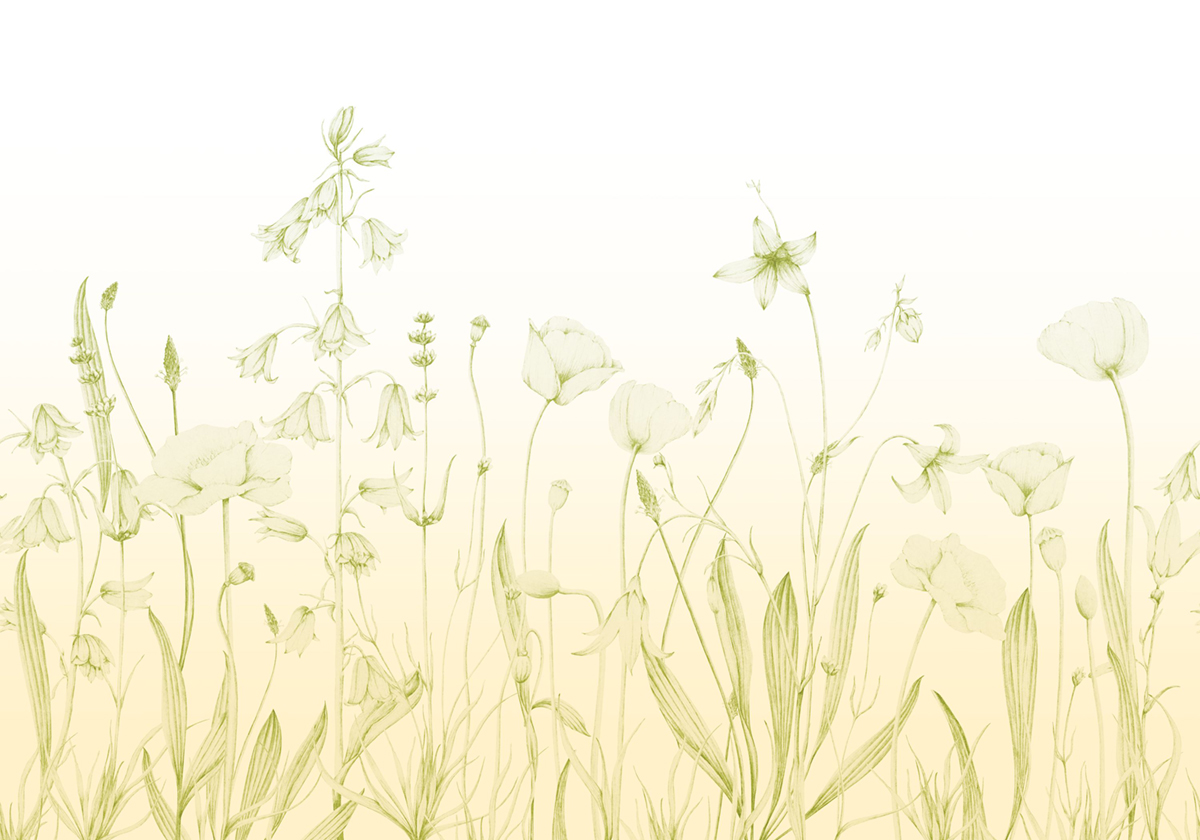 Papier peint panoramique Floral Promenade Bucolique M lime 400X280 - Wonderwalls 2 de Casadéco | Réf. WDWD200167311