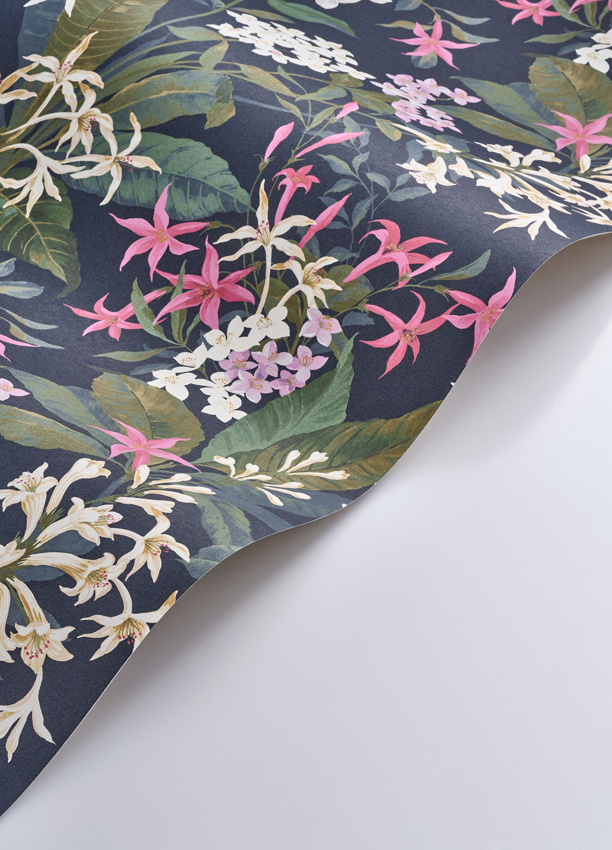 Papier peint Fleuri Songe de Jasmin fuchsia - Le Beau Jardin de Casadéco VAGUE | Réf. BJAR202564567