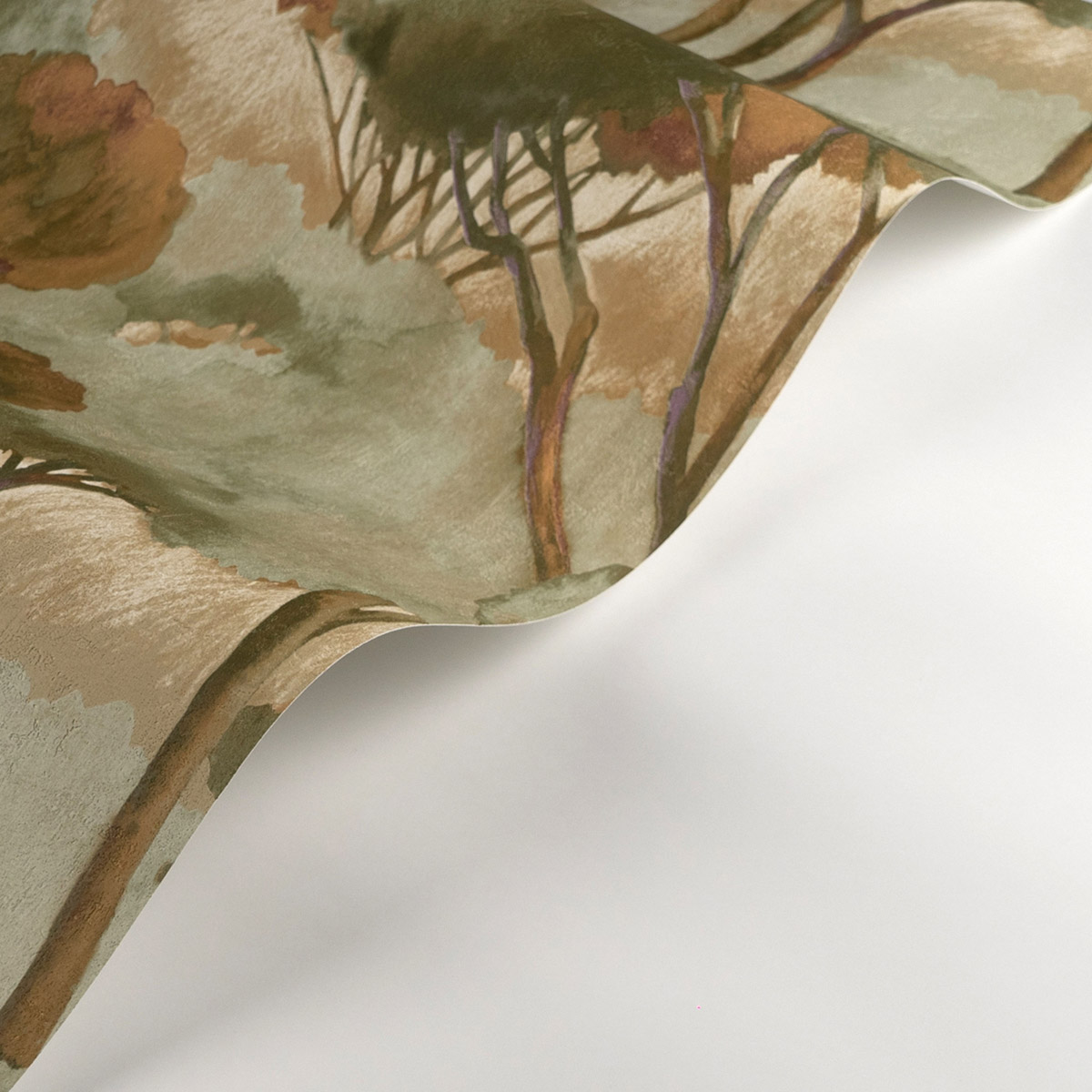 Papier peint Forêt des Landes vert - Sentier des Dunes de Casadéco AMBV | Réf. SENT200927530