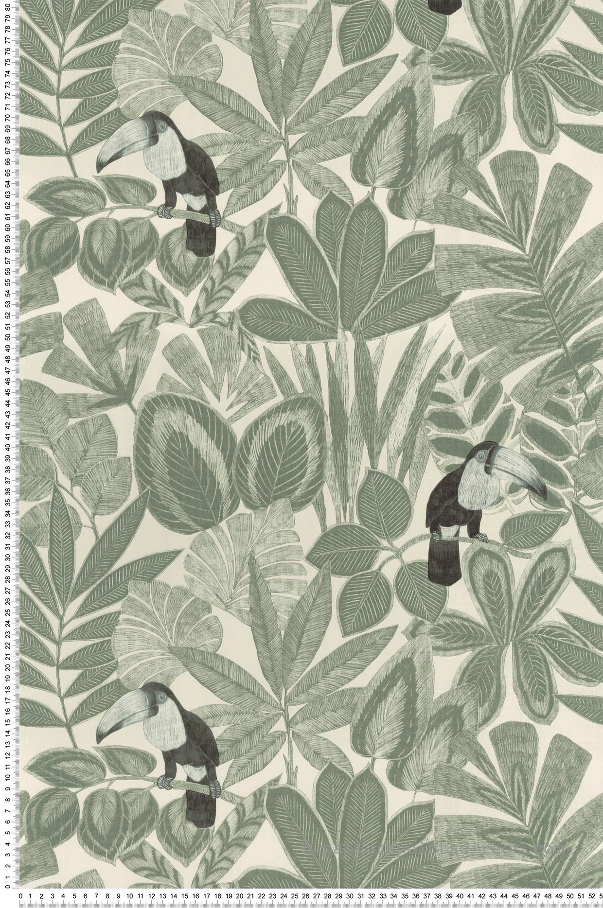 Papier peint Toucan Rio vert kaki - Green & Co de Casélio | Réf. GCO103920736