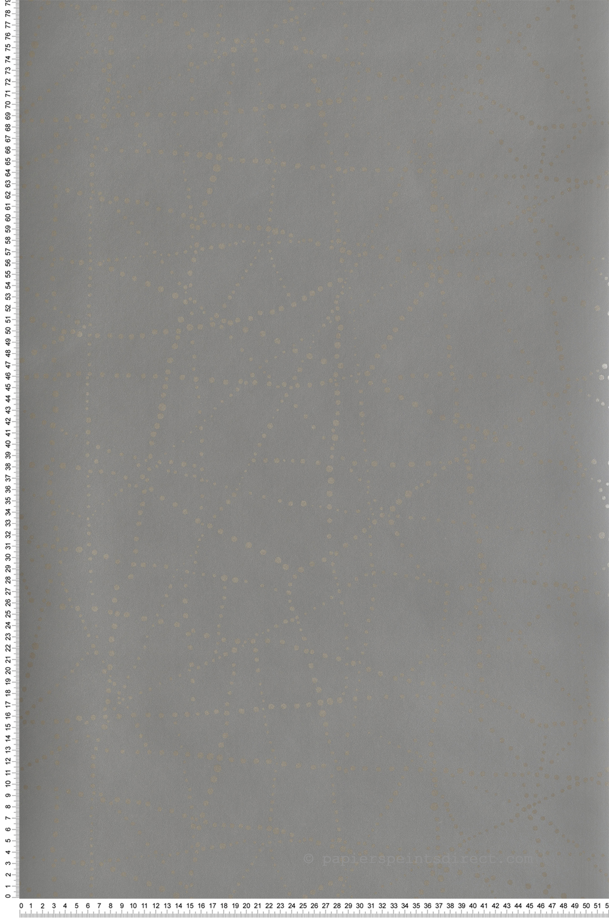 Papier peint Géométrie Pois Alcott gris foncé doré - Harmony de Lutèce | Réf. LTC-FD27126