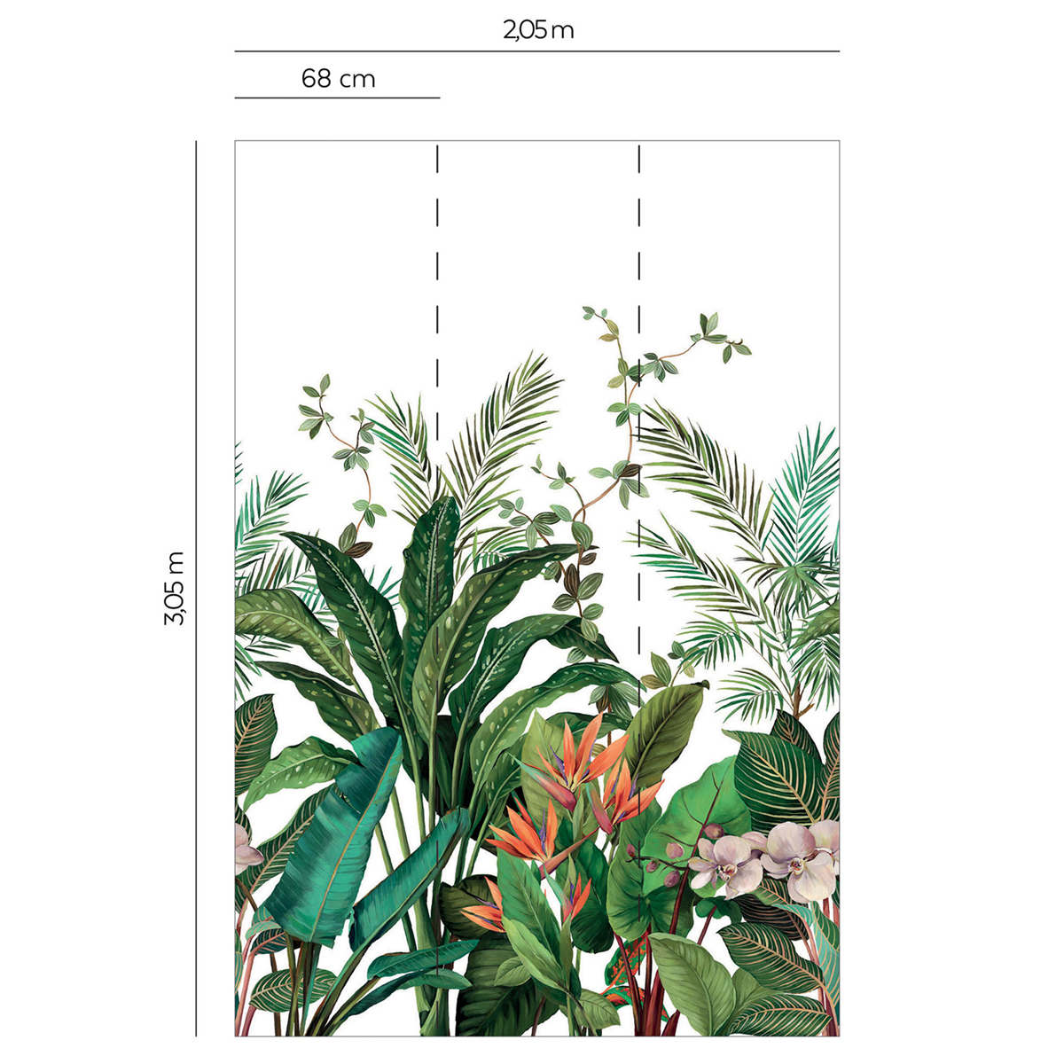 Papier peint panoramique Plante Oiseau de Paradis blanc - Daisy Bennett d'Initiales AMBR | Réf. INI-DB31700M