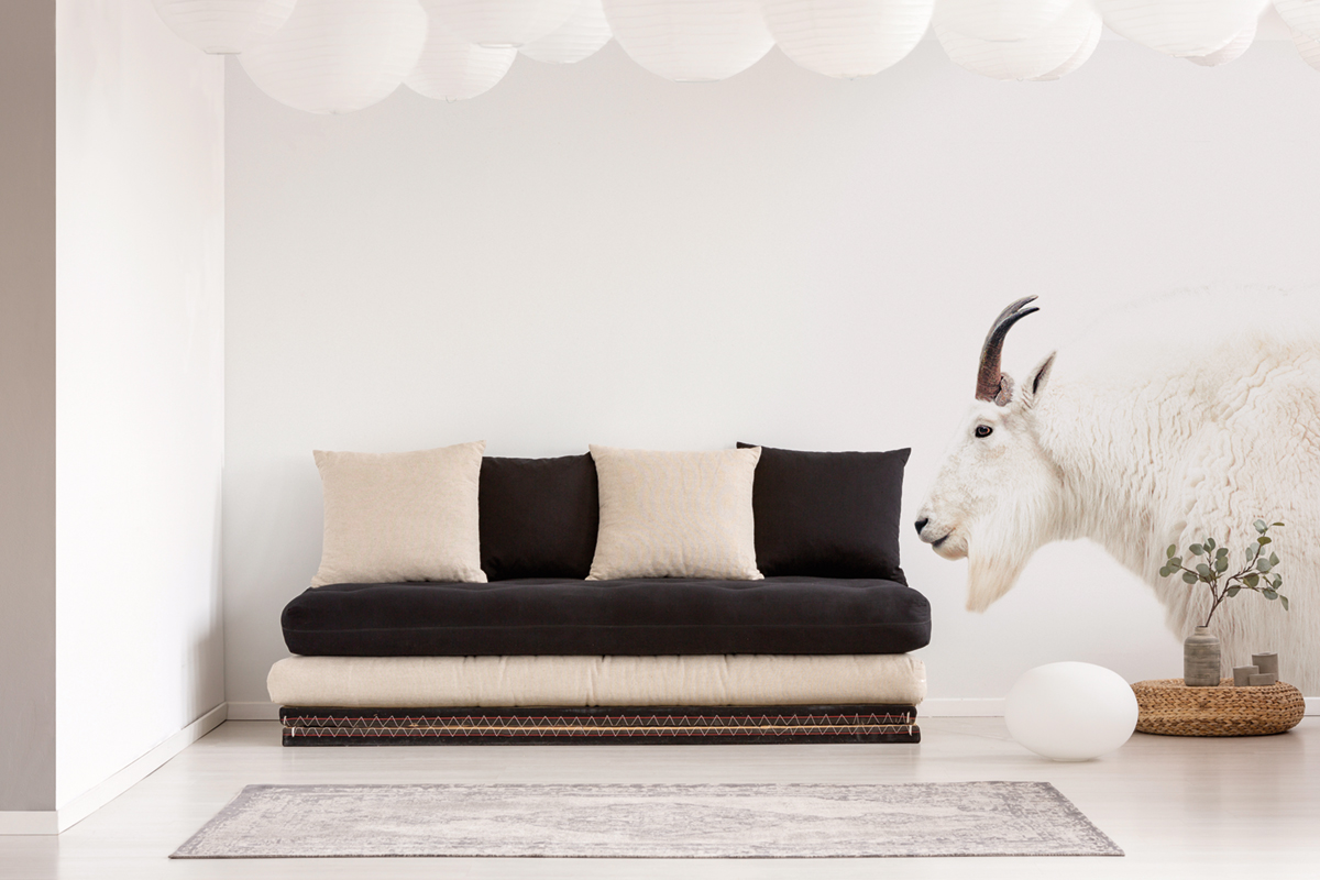 Papier peint panoramique Animal Mountain Goat - Référence DD119809 - Intissé 200g/m2 - Standard 400 x 270