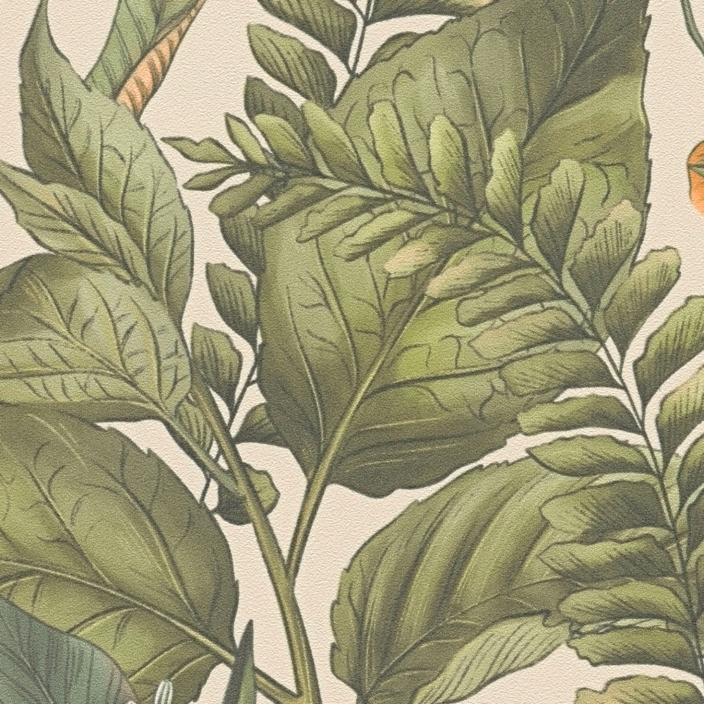 Papier peint Végétation Jungle vert beige - Drawn Into Nature de Livingwalls AMB5| Réf. 39413-2