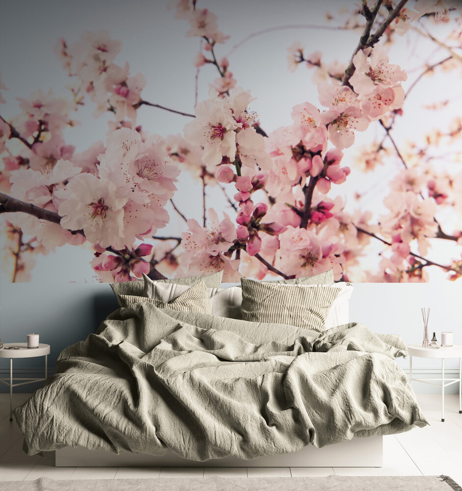 Papier peint panoramique Fleurs de Cerisier Branche - Wall Love d'A.S. Création | Réf. DD129571