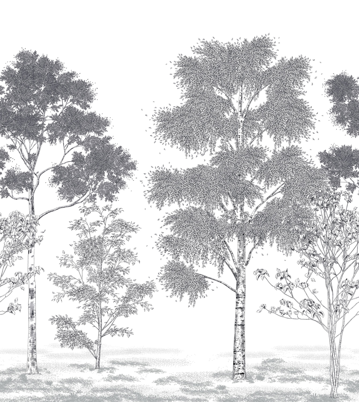 Papier peint panoramique Arbres Poésie Printanière noir blanc M 250X280 - Balade de Casélio | Réf. BLD106169001