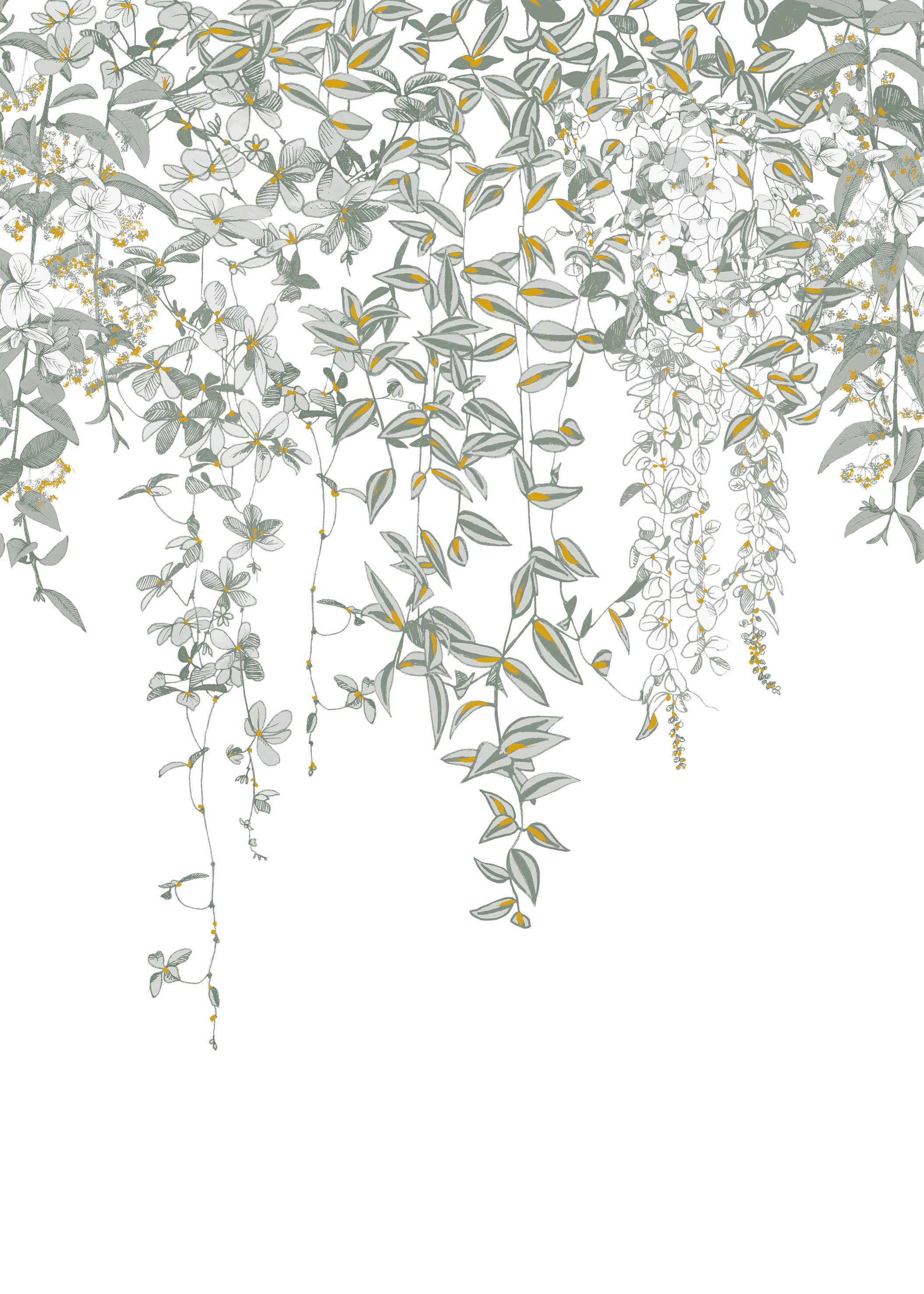 Papier peint Panoramique Feuilles en Cascade vert - Jardins Suspendus de Casadéco | Réf. JDSP85277212