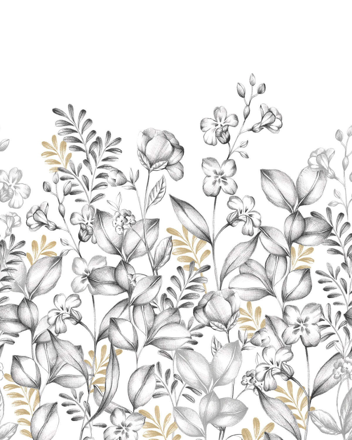 Papier peint Panoramique Prairie Florale Florescence noir et blanc 200X250 - Moonlight 3 de Casélio | Réf. MNL3107280905