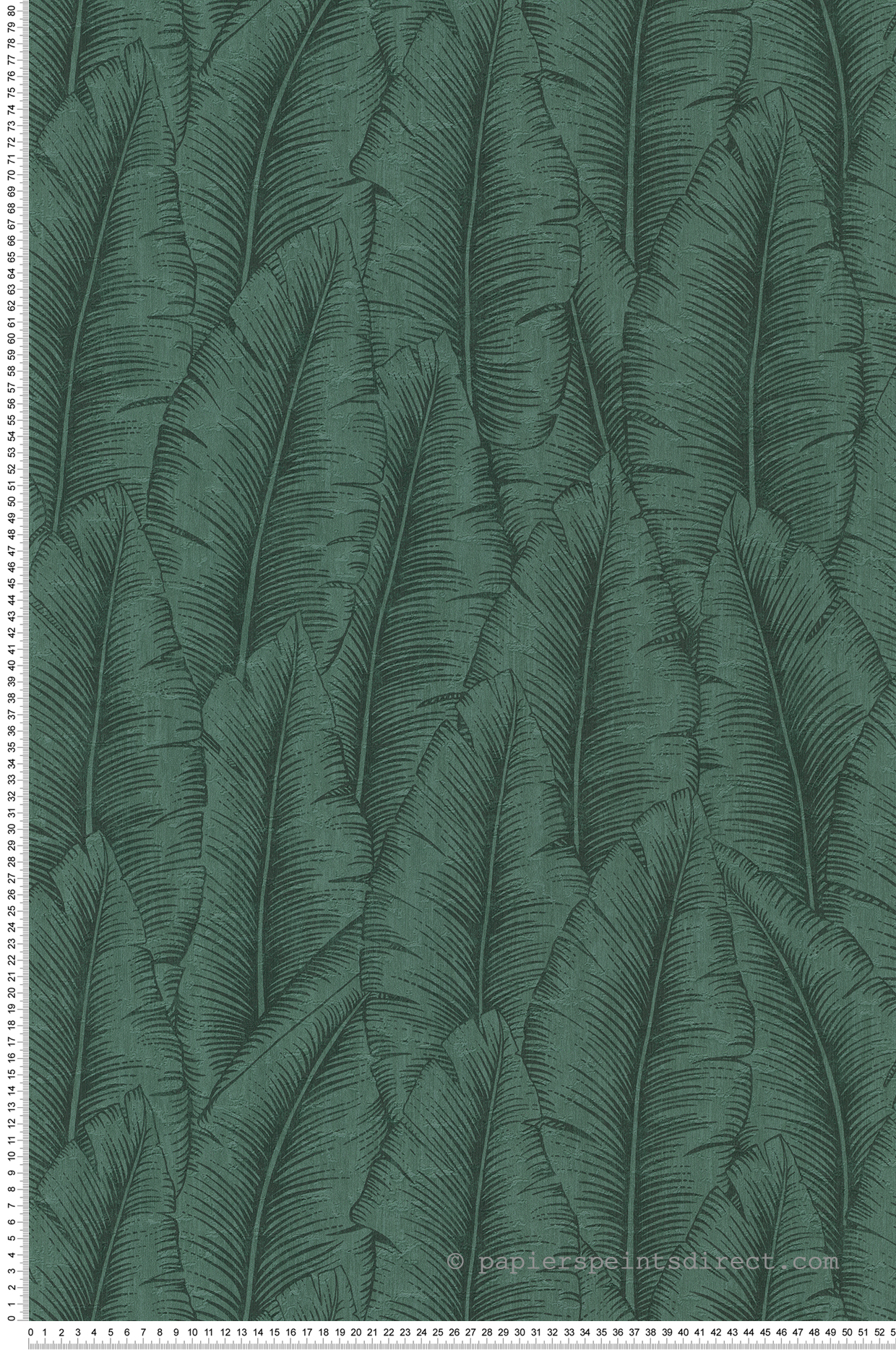 Papier peint Feuillage Jungle vert foncé - Santal de Montecolino | Réf. MC-CU3207