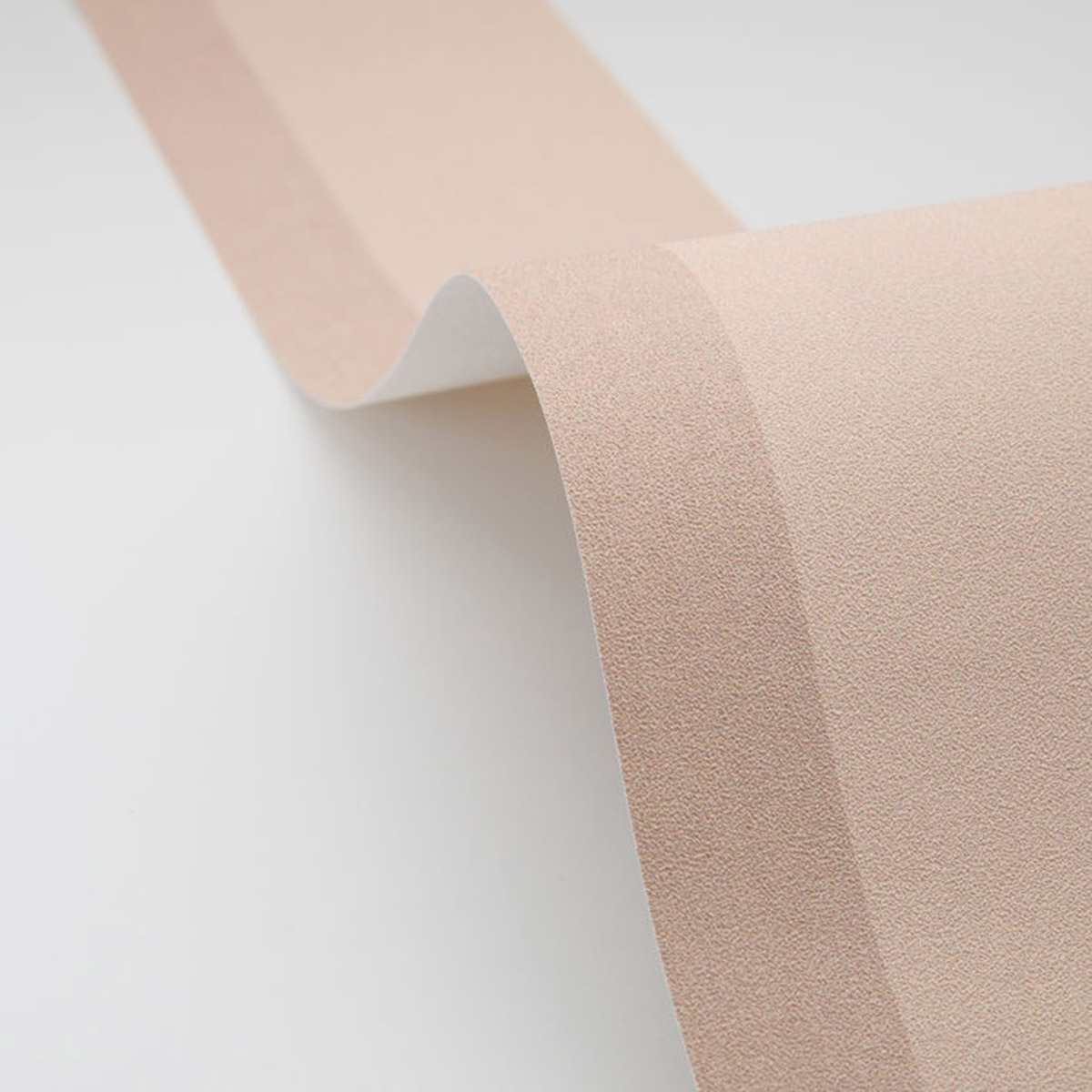 Frise Classique Border taupe - Line Up de Casélio AMBV | Réf. LNP106771156