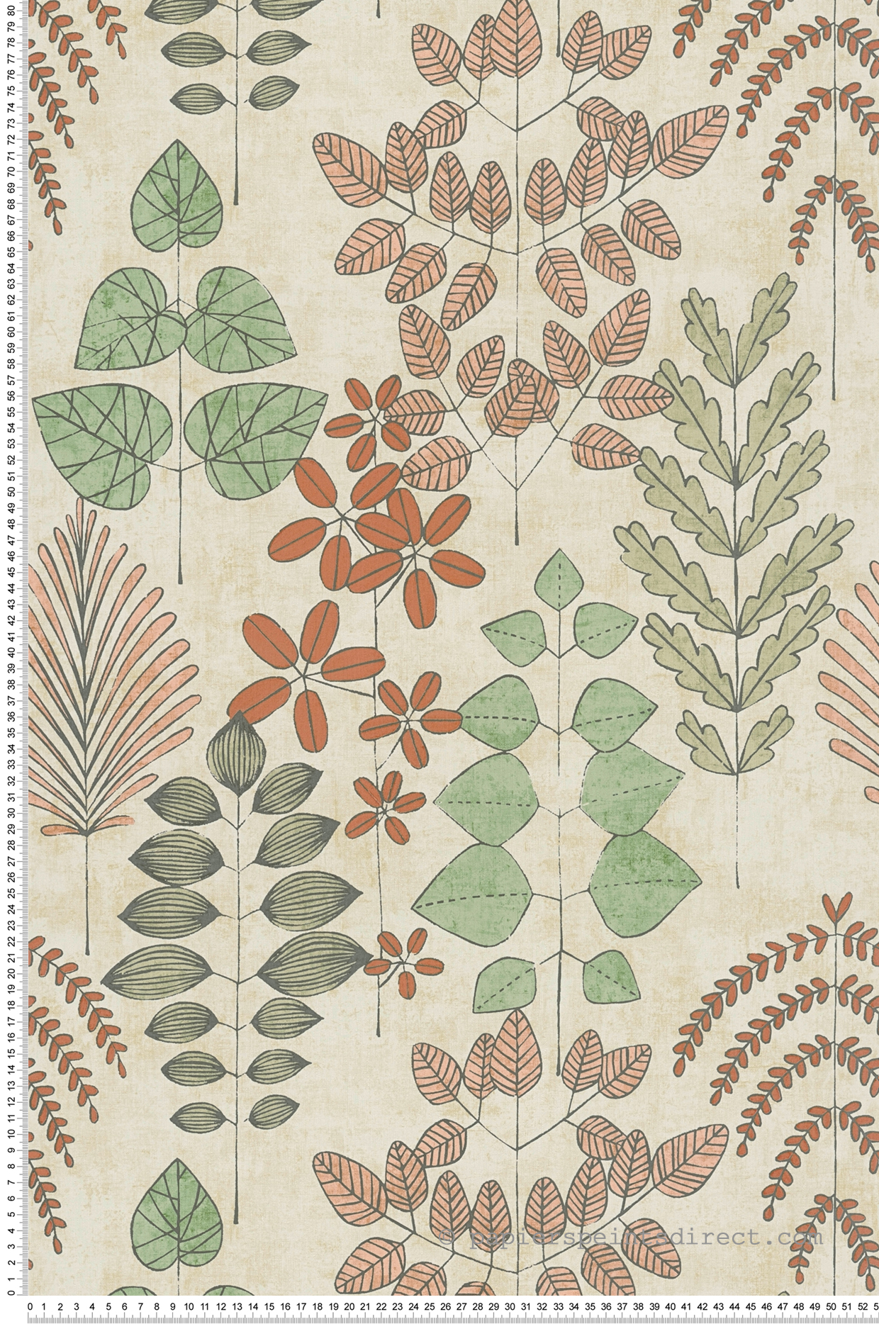 Papier peint Herbier Graphique Athyrium vert terracotta - Nordic Feeling d'A.S. Création
