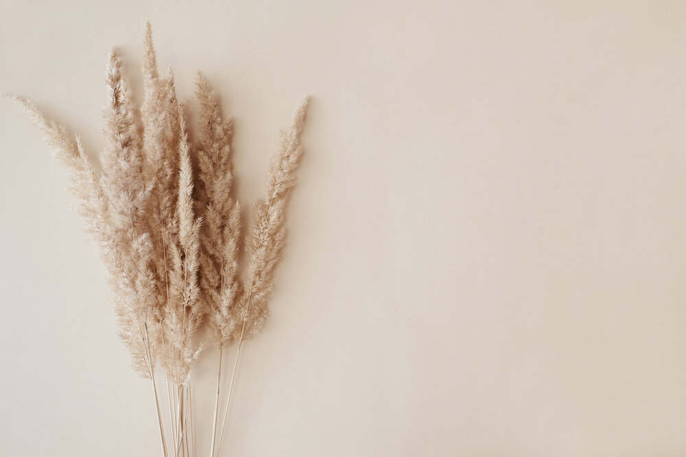 Papier peint panoramique Pampas beige - Wall Love d'A.S. Création | Réf. DD129603