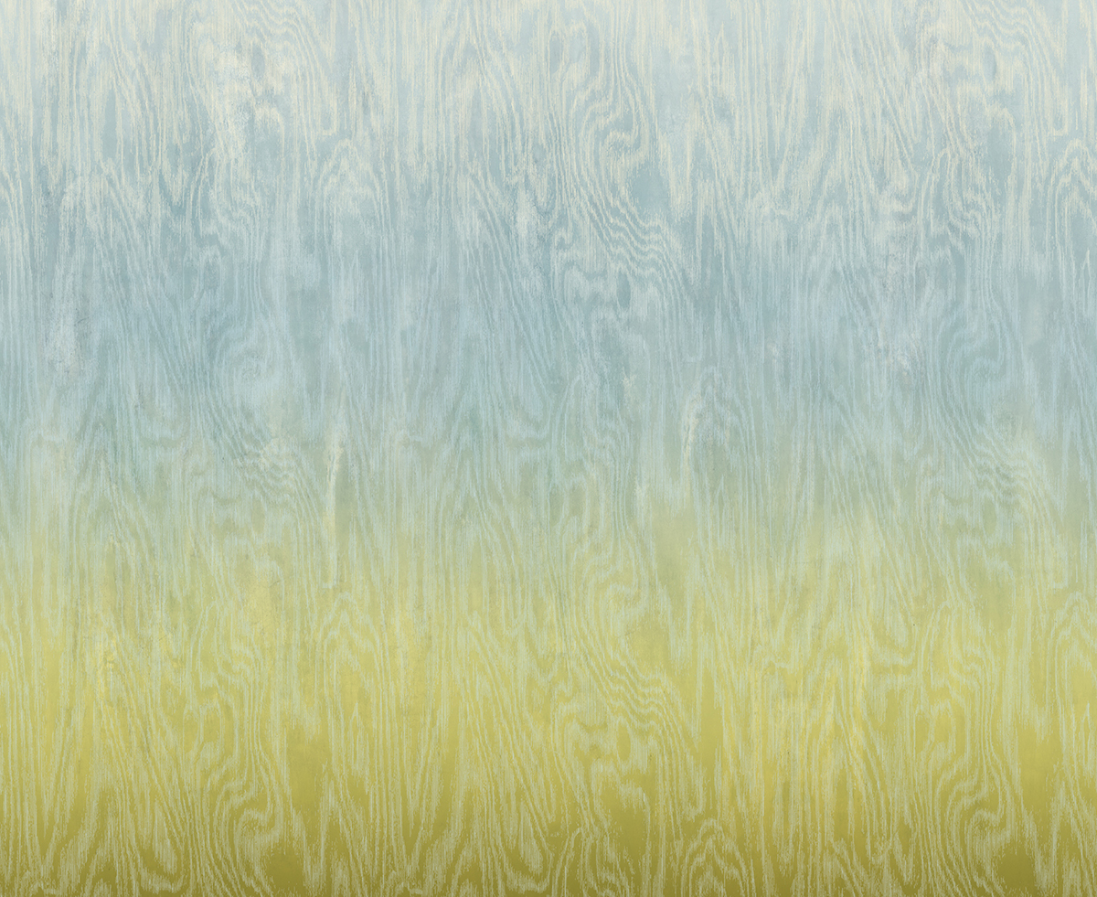 Papier peint panoramique Dégradé Moiré Bois bleu vert citron - A, B et C H260 - Wall Designs IV de Masureel | Réf. MAS-DG4MOI107X-260