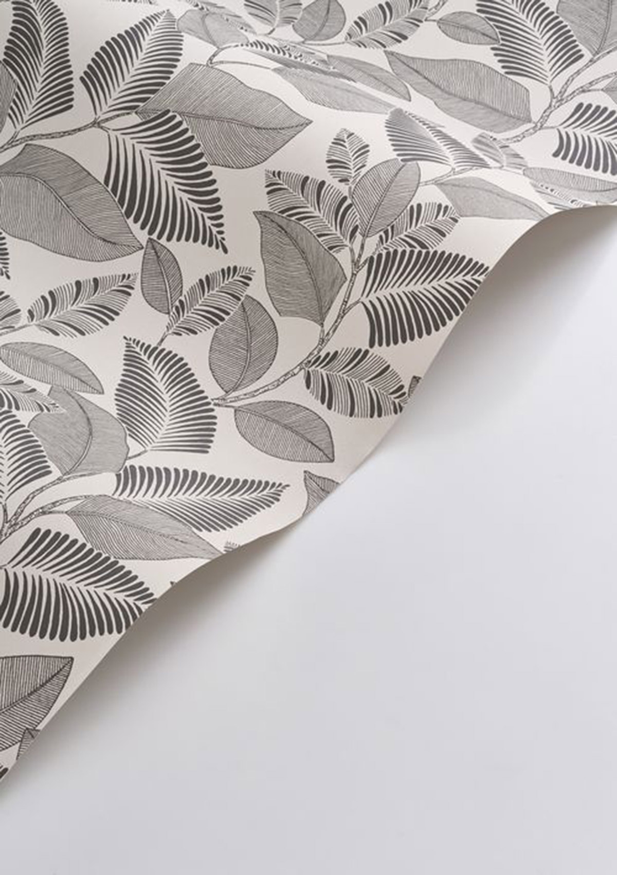 Papier peint Feuillage Paraty fusain - Rio de Casadéco AMB4| Réf. RIOC201809271