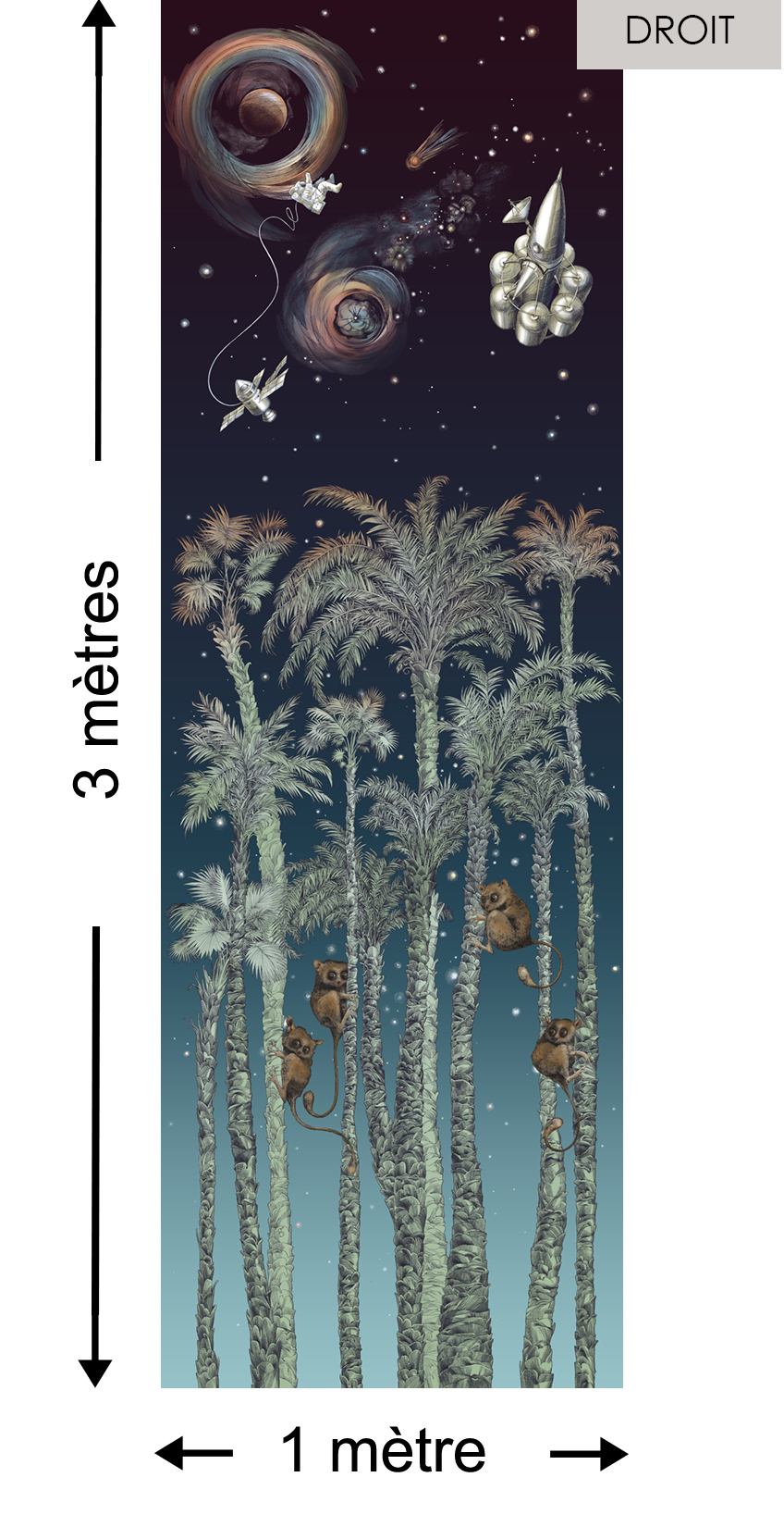 Nuit Cosmique DROITE Naturel - Collection Catherine Gran de Edmond Petit