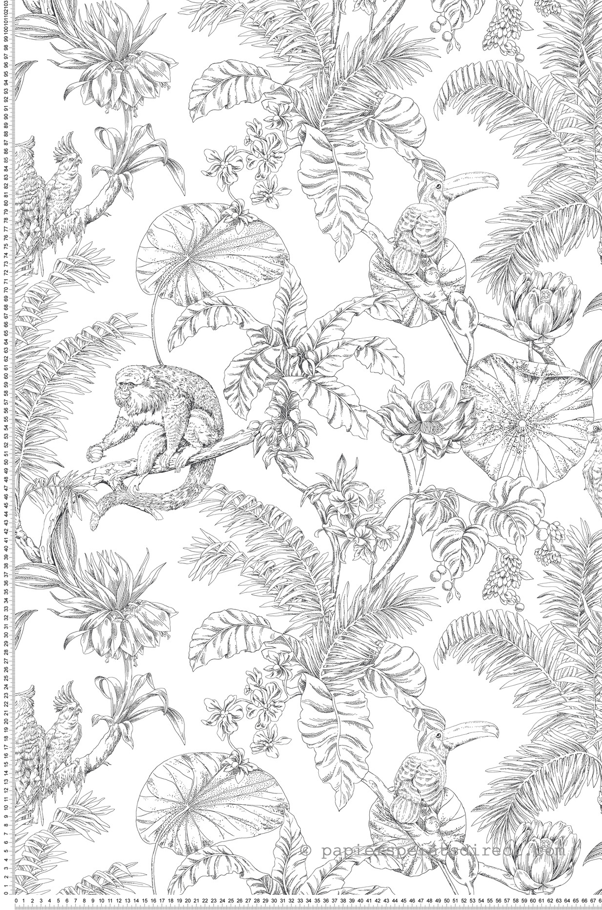 Papier peint Singe Toucan Tropical noir et blanc - Toiles de York (Initiales) | Réf. INI-RT7841
