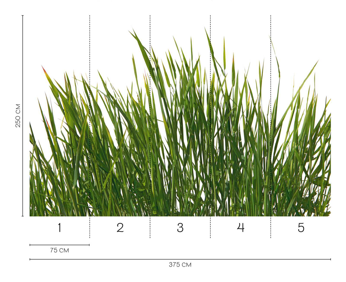 Papier peint panoramique Tapis d'Herbe - Wall Love d'A.S. Création REGLE | Réf. DD129580