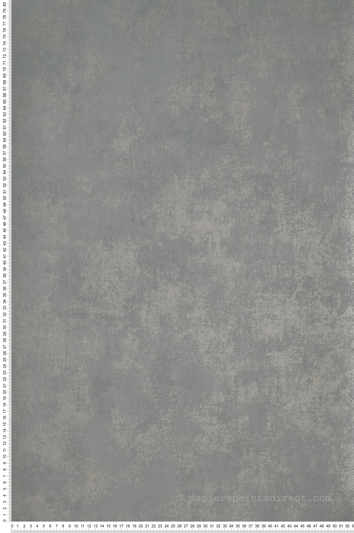 Papier peint Faux uni irisé gris - Montsegur de Casadéco | Réf. MTSE80837436