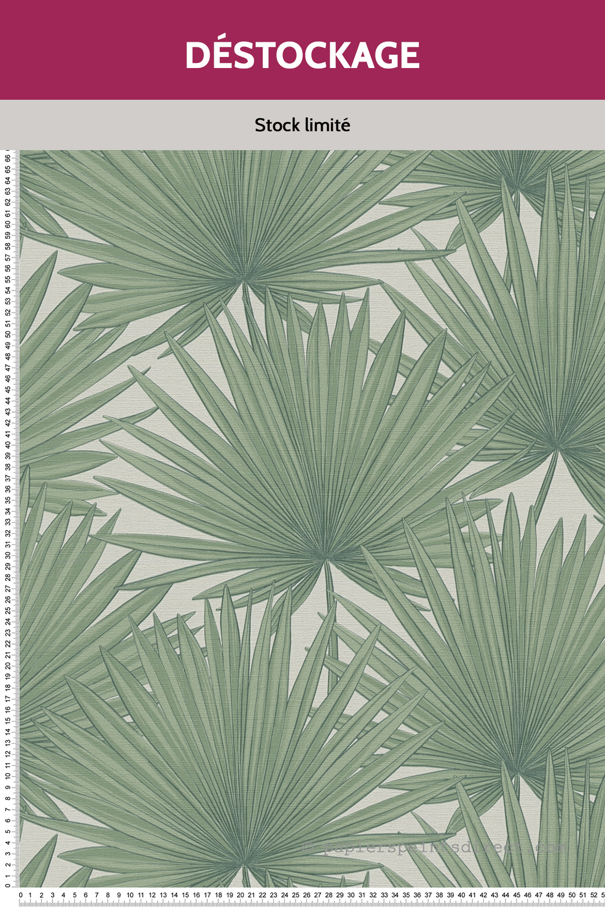 Papier peint Destockage - Palme Eventail vert - Antigua d'A.S. Création