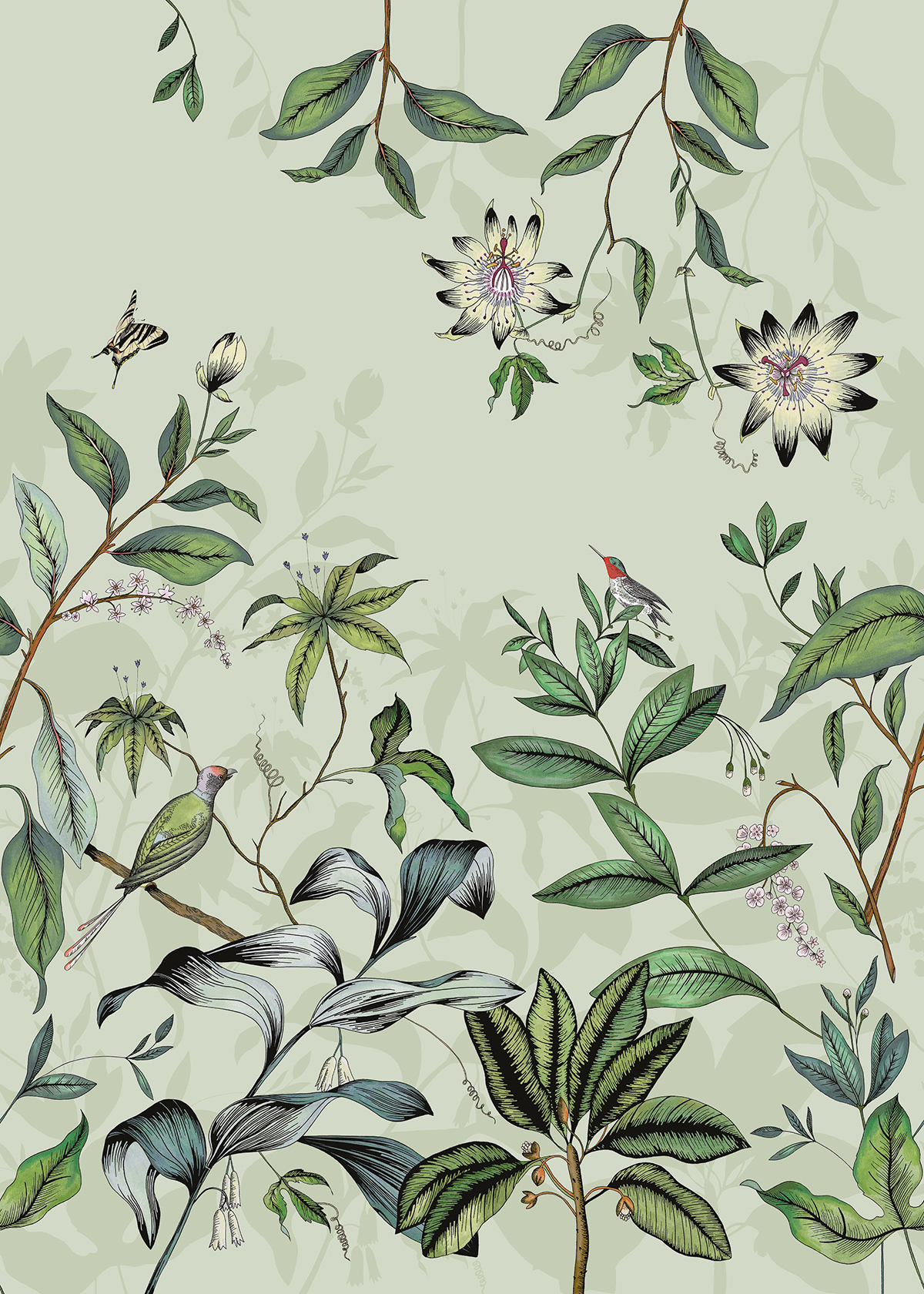 Papier peint panoramique Nature et Oiseau vert pale - Beauty Full Image 2 de Casadéco | Réf. BFMA87086107