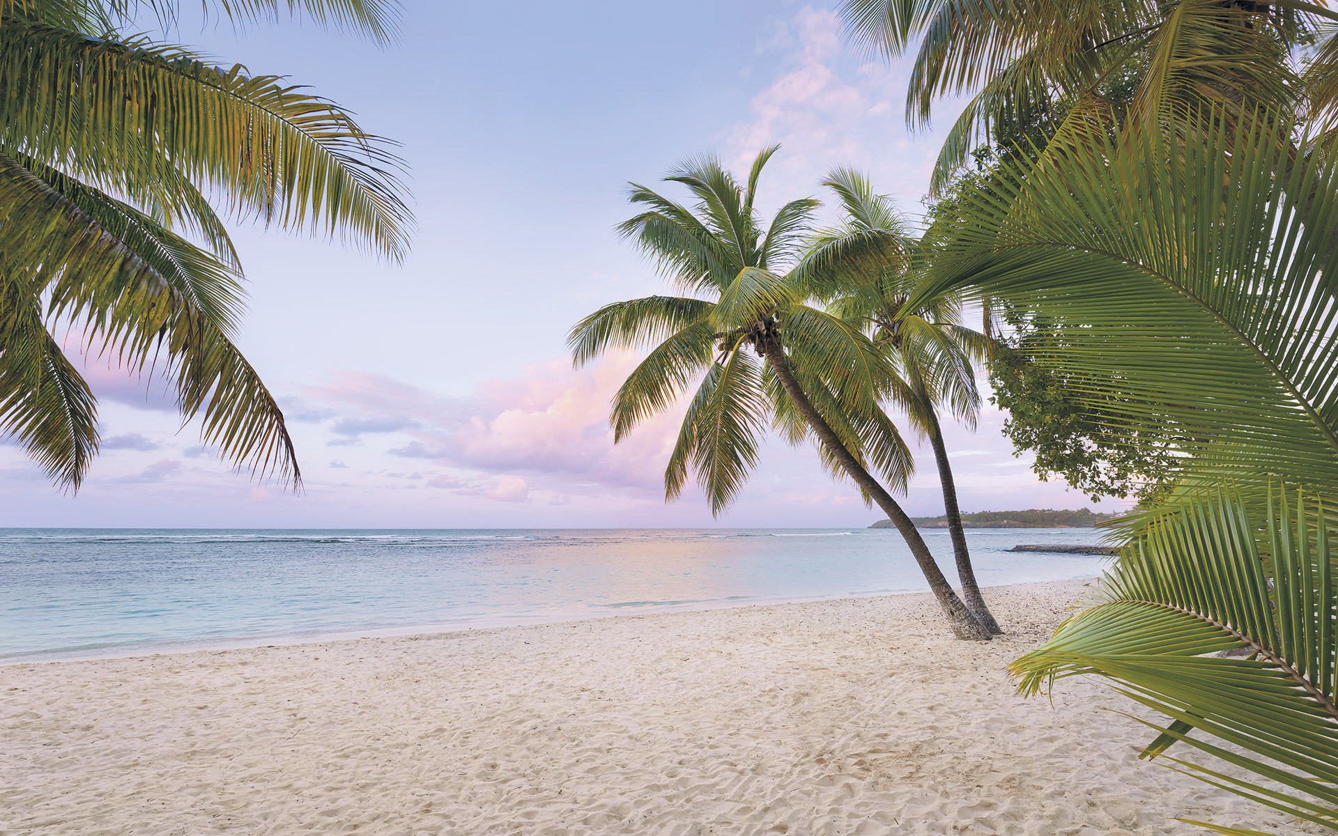 Panoramique Paradise Morning - Papier peint Komar