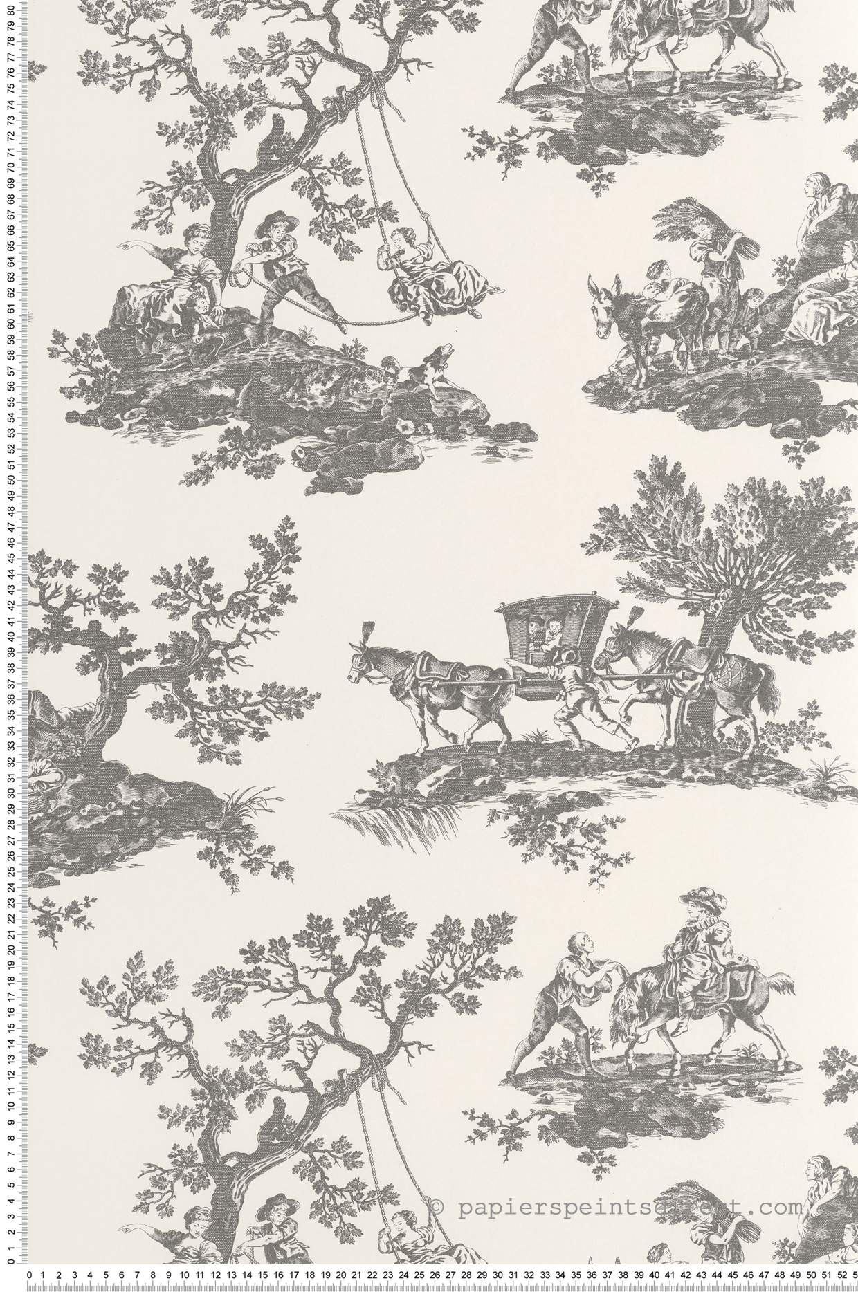 Papier peint Classique Cadence gris - Les Belles Toiles De Jouy 2 de Casadéco | Réf. BTJD201699310