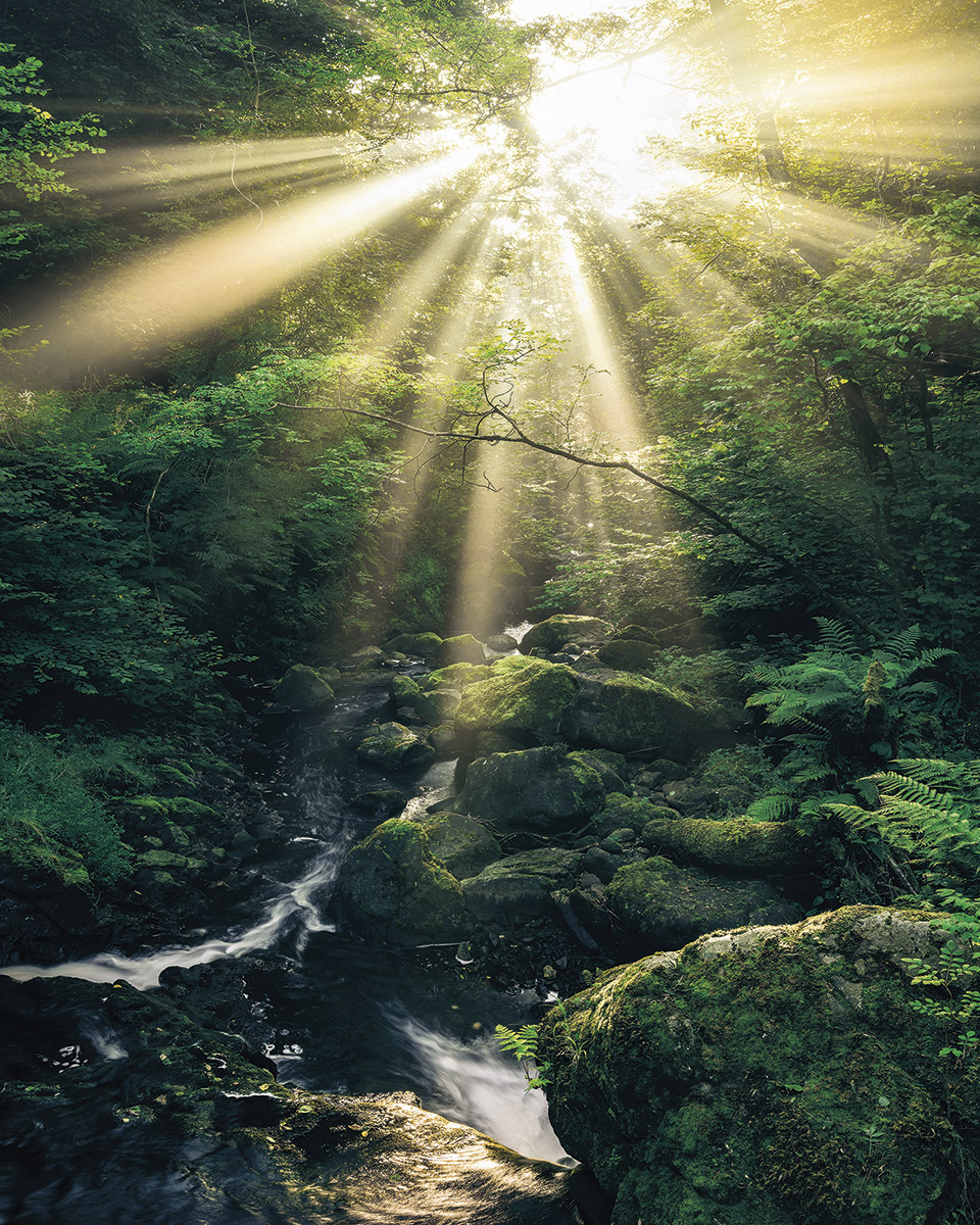 Panoramique Divine - Papier peint Komar