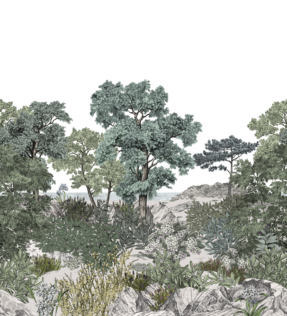 Papier peint panoramique Forêt de Bretagne Naturel A+B - 1/2/3/4/5/6 - Isidore Leroy