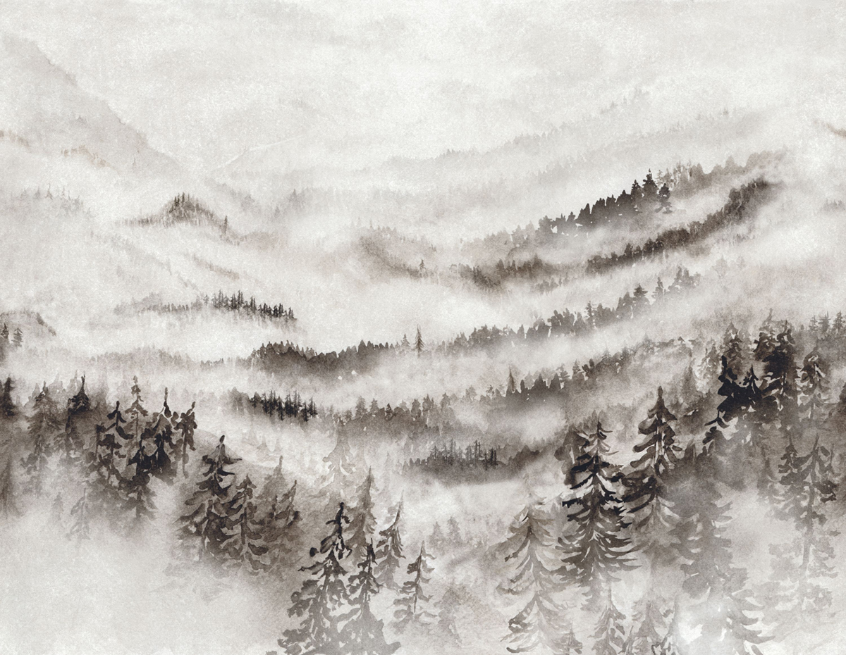 Papier peint panoramique Montagne Morning Mist L gris 400X310 - Wonderwalls 2 de Casadéco | Réf. WDWD200189112