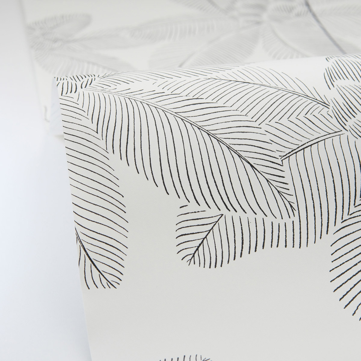 Papier peint Palmier Tropical Lotus noir et blanc - Art of Botany de Casélio AMBV | Réf. AOB106650956