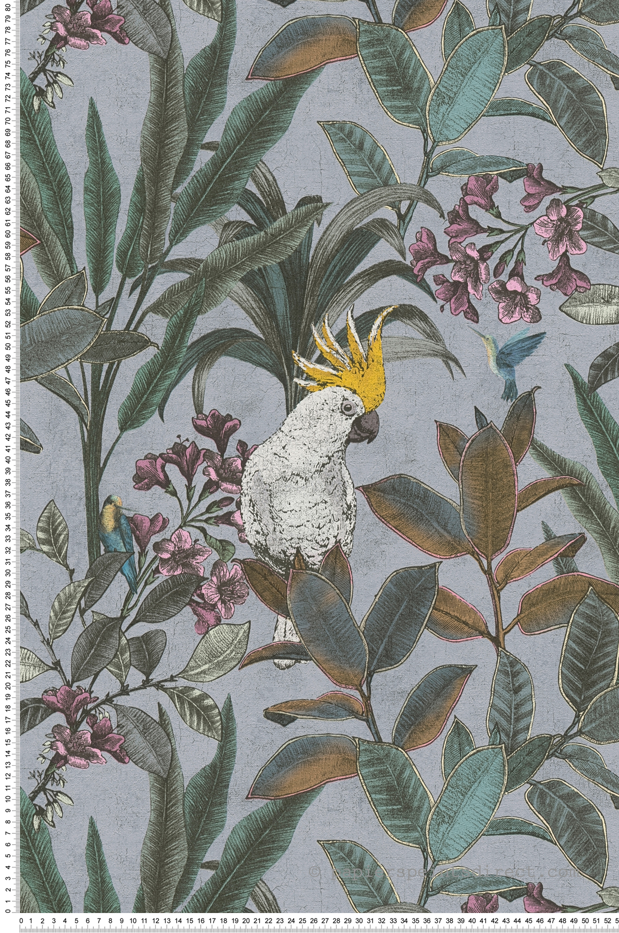 Papier peint Jungle Cacatoès bleu gris - Pintwalls 2 d'A.S. Création | Réf. AS-397483