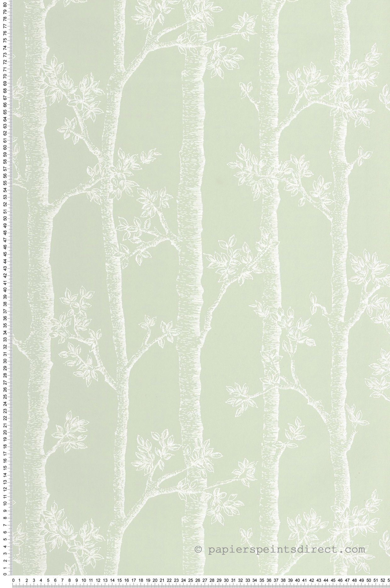 Papier peint Arbre Tronc Automne vert amande - Balade de Casélio | Réf. BLD106127075