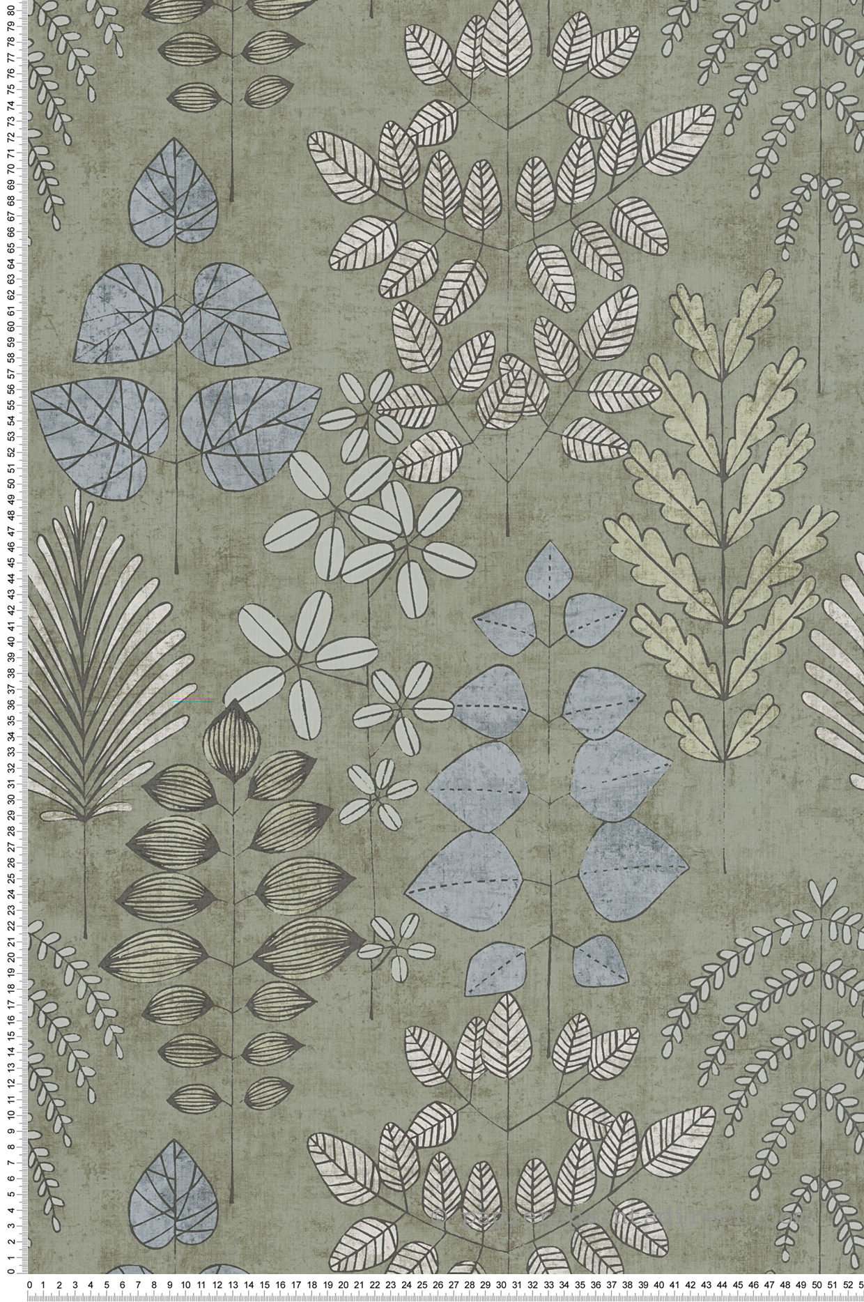 Papier peint Herbier Graphique Athyrium vert sauge  - Nordic Feeling d'A.S. Création