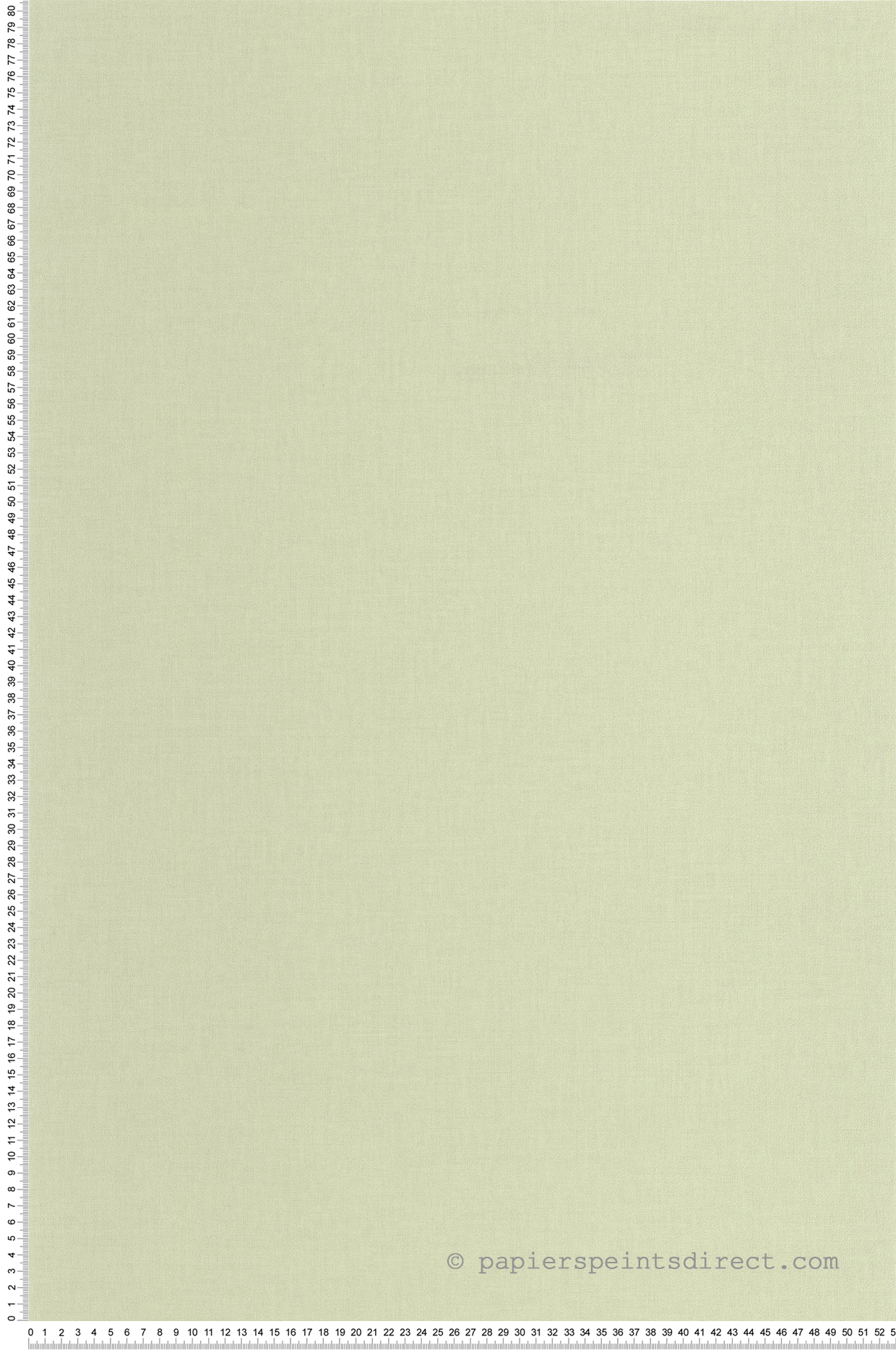 Papier peint Uni vert amande - Outlines de Casélio | Réf. OTLS64527721