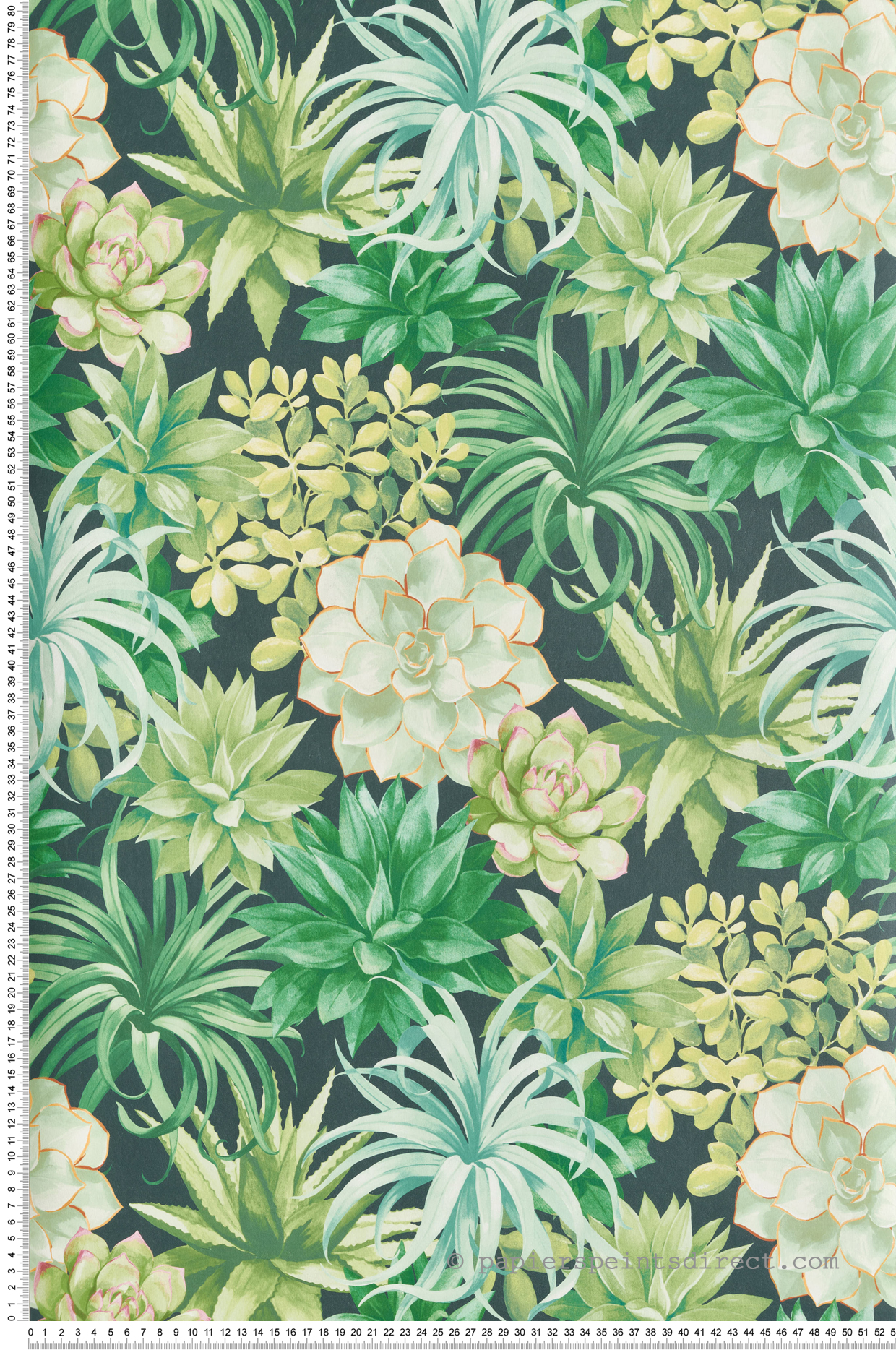 Papier peint Plante Echeveria vert - Botanica de Casadéco | Réf. BOTA85917396