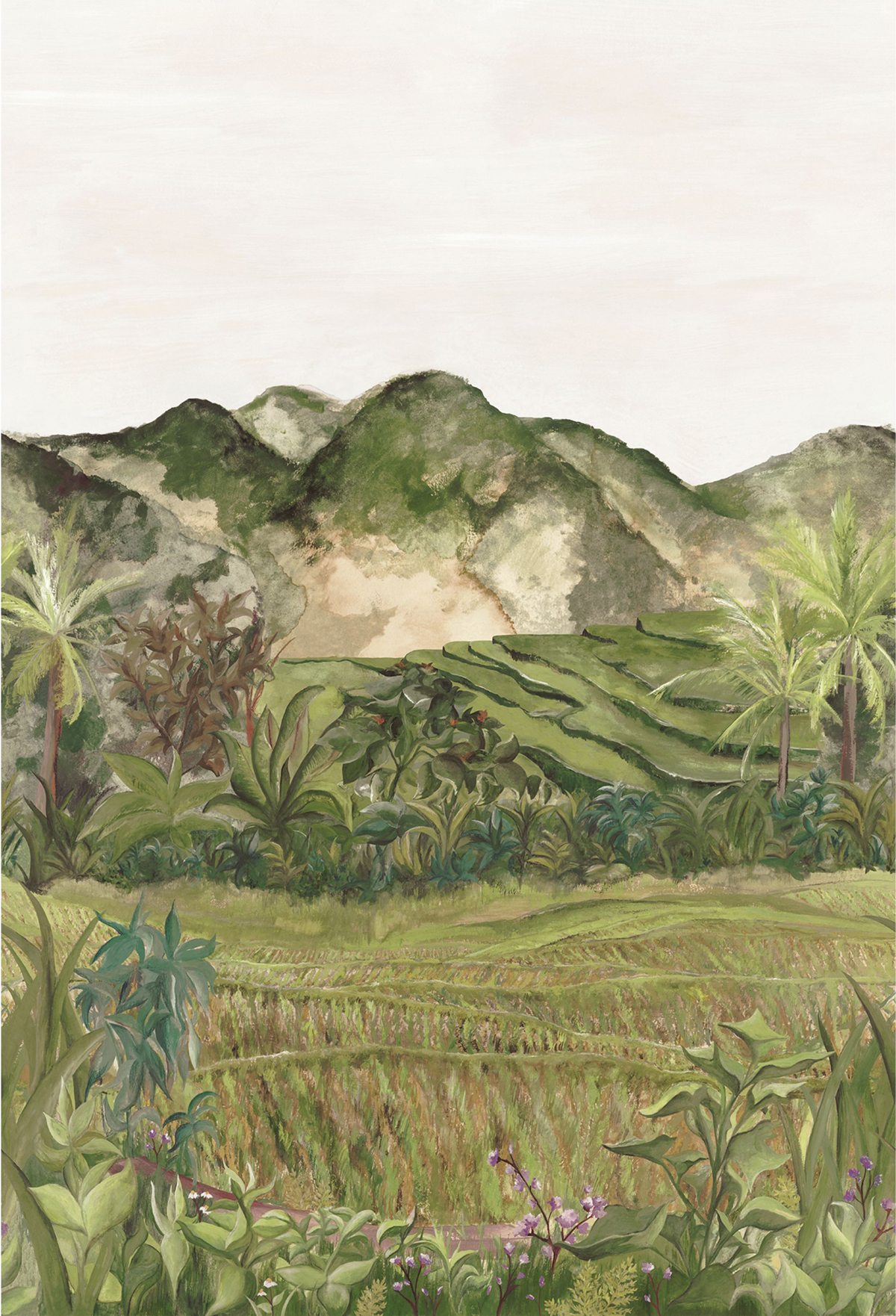 Papier peint Panoramique Rizière Hapao olive - Panoramas 2 de Casamance | Réf. CAS-75621120