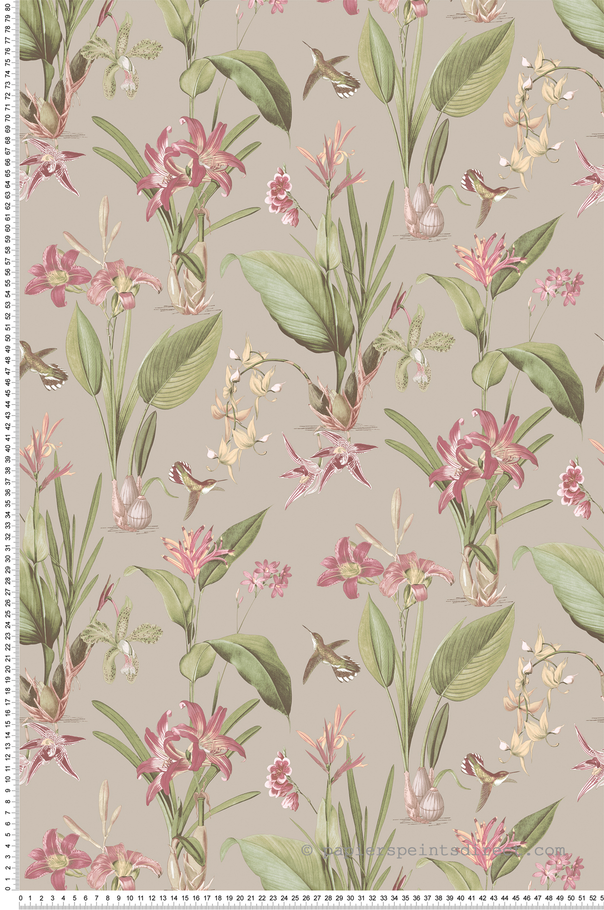 Papier peint Plante Botanique Oiseau taupe - Jardin Secret de Lutèce | Réf. LTC-G78507