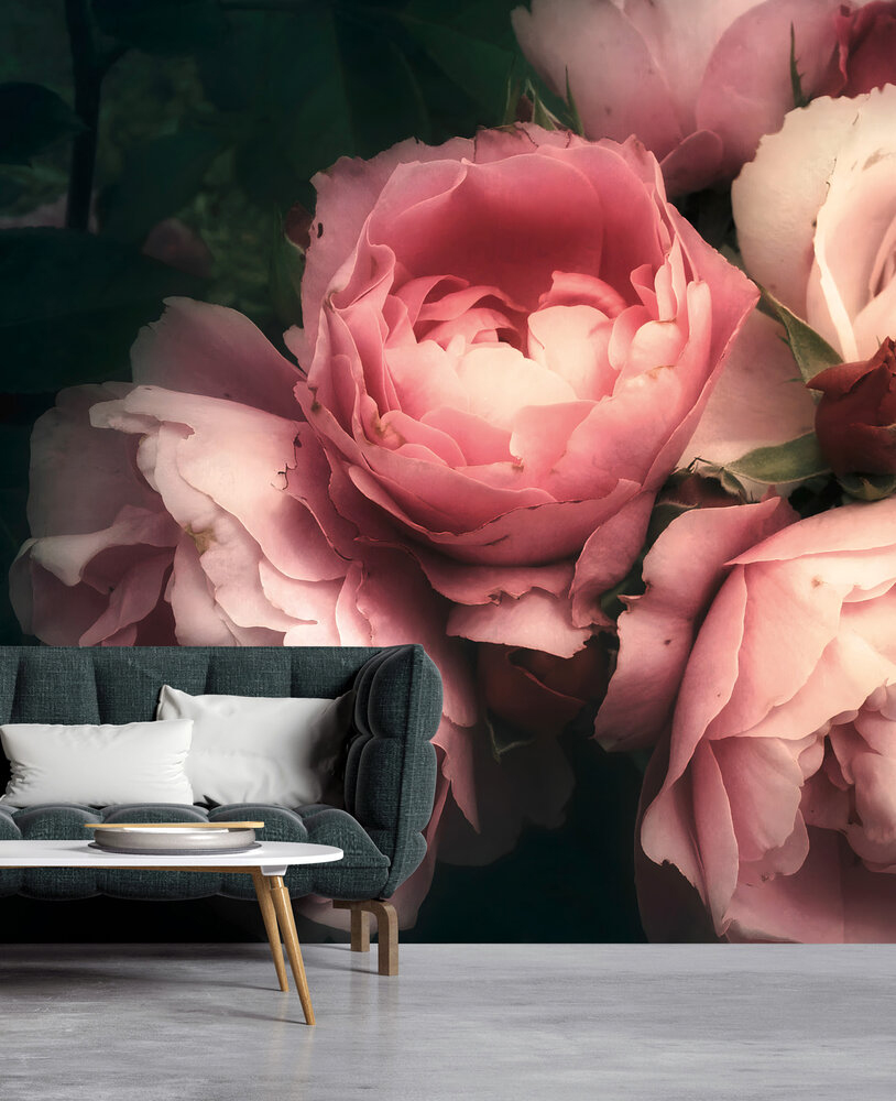 Papier peint panoramique Charme Rose - Wall Love d'A.S. Création | Réf. DD129565