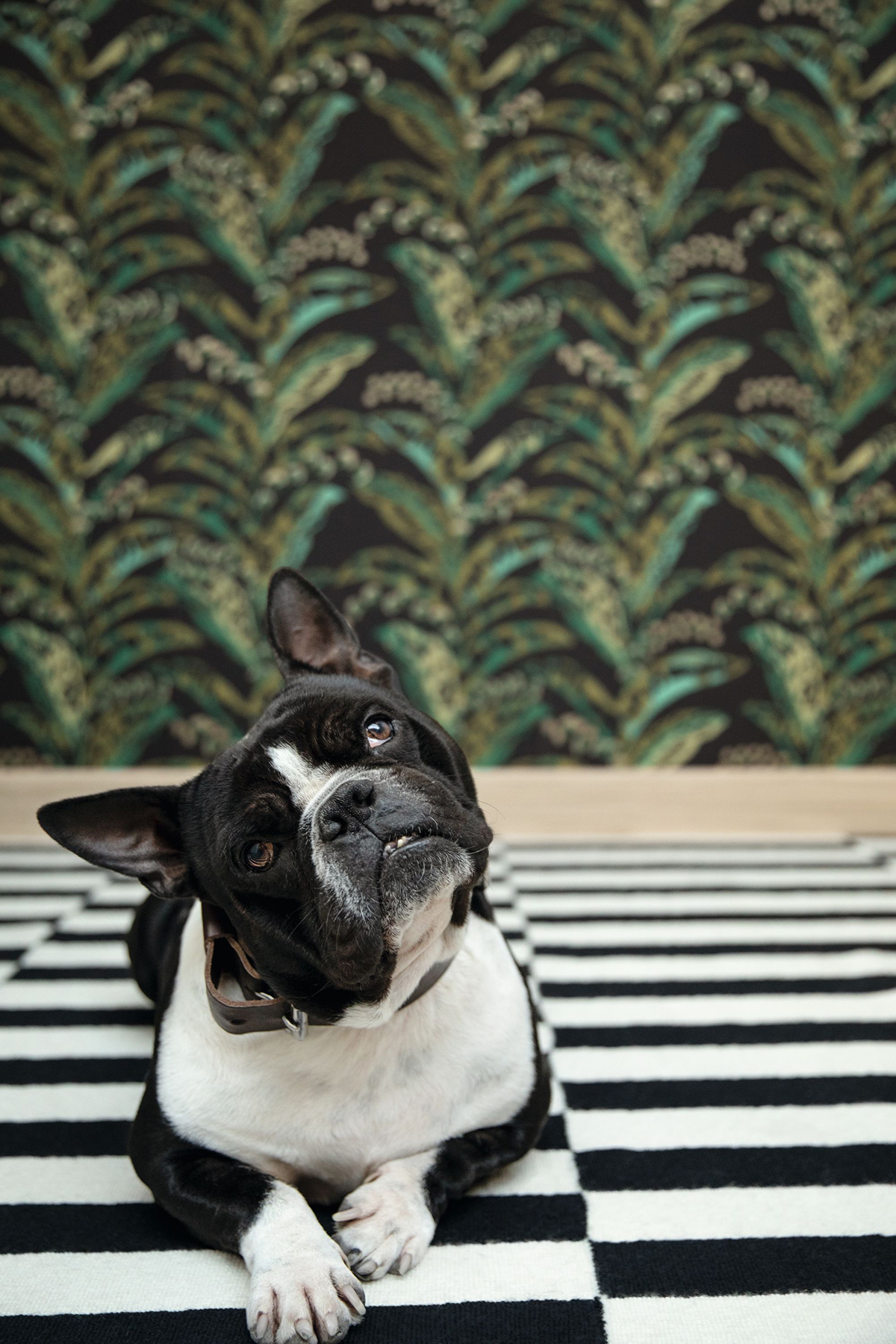 Papier peint Fleurs Epopée noir - L'escapade de Casélio AMB | Réf. EPA102339752