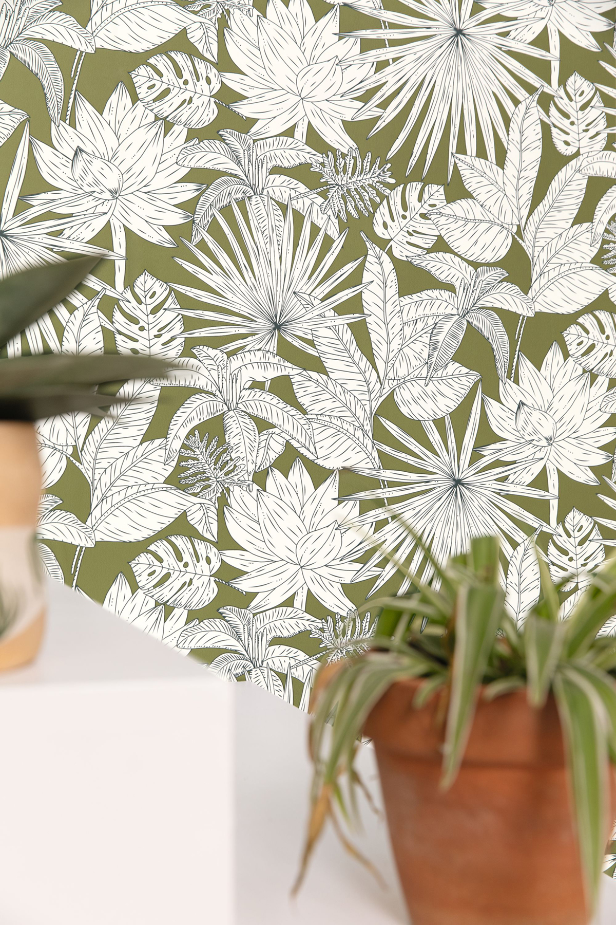 Papier peint Jungle Feuilles Hawai vert kaki - Green & Co de Casélio AMB2 | Réf. GCO101437167