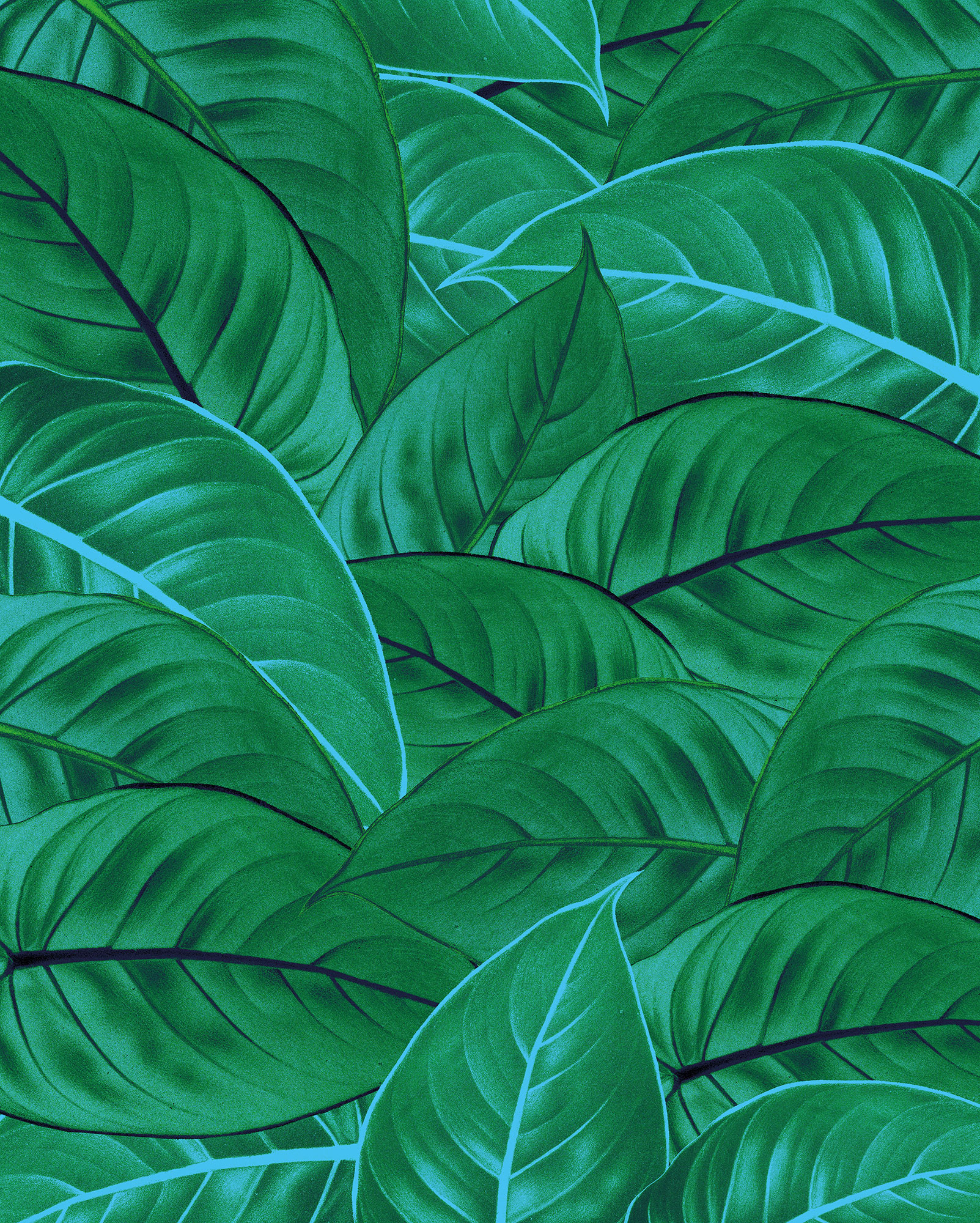Papier peint panoramique Jungle Leaves - Papier peint Komar