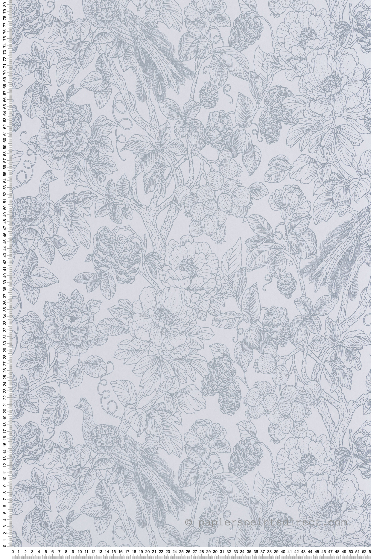 Papier peint Floral et Oiseau Feather bleu - Delicacy de Casadéco | Réf. DELY85366151