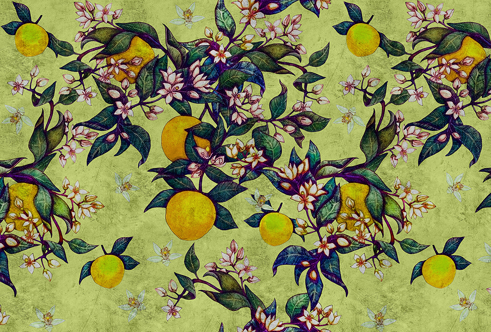 Papier peint panoramique Fruit tropical Grapefruit tree 1 - Référence DD114257 - Intissé 200g/m2 - Standard 400 x 270