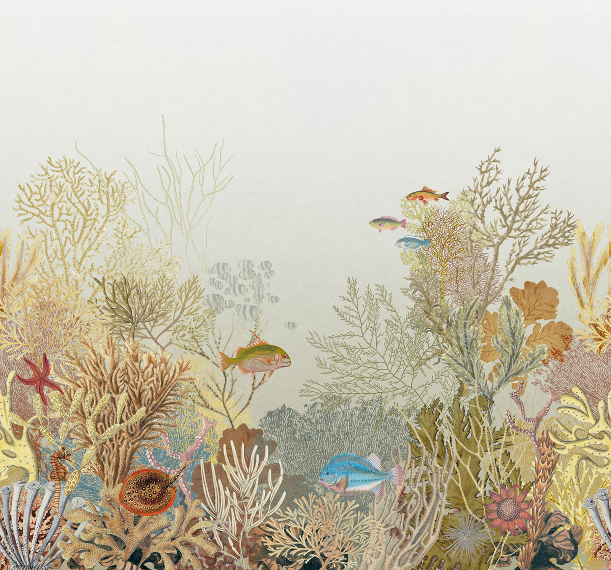 Papier peint panoramique Poisson Marin Aquarium M vert de gris 300X280 - Seaside de Casadéco | Réf. SEAS201540308