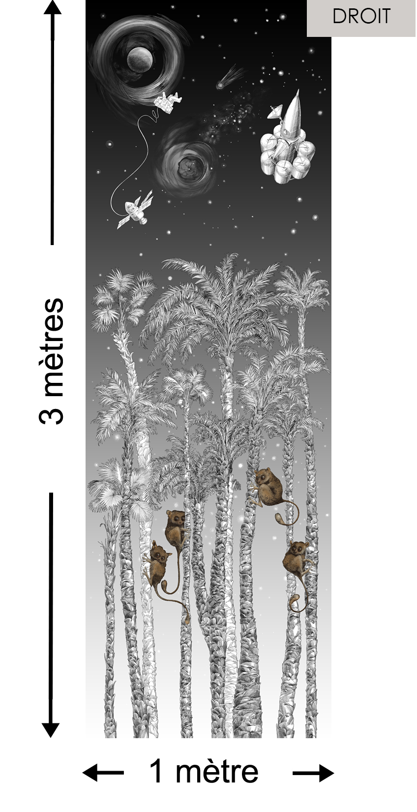 Nuit Cosmique DROITE Noir & Blanc - Collection Catherine Gran de Edmond Petit