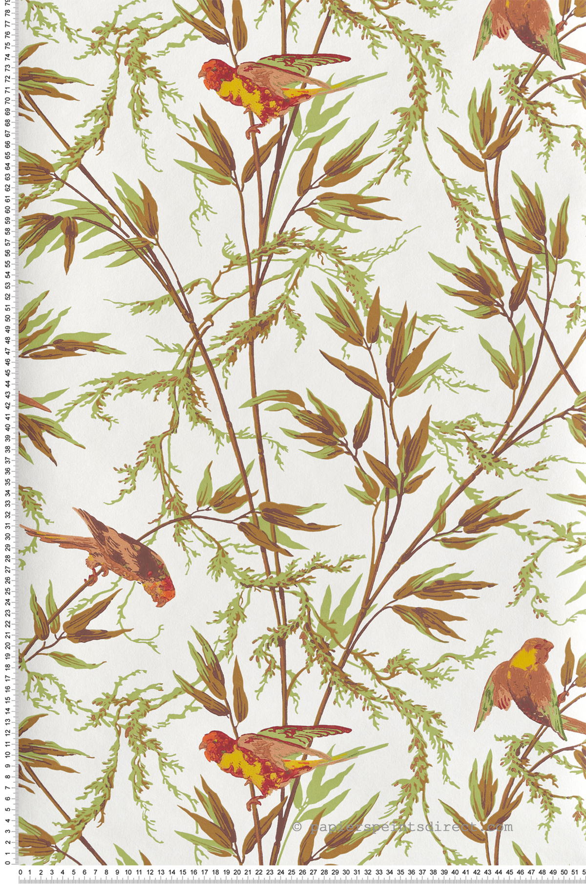 Papier peint Perroquet Great Ormond St Galette - National Trust Papers 4 de Little Greene | Réf. 0267GOGALET