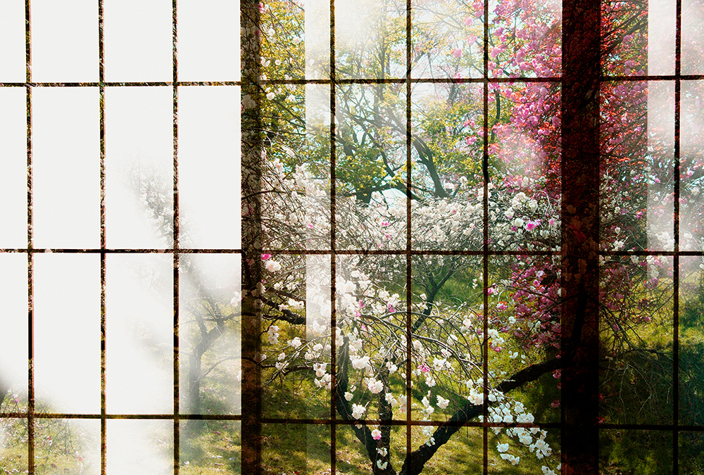 Papier peint panoramique Verrière fleurie Orchard 1 - Référence DD113727 - Intissé 200g/m2 - Standard 400 x 270